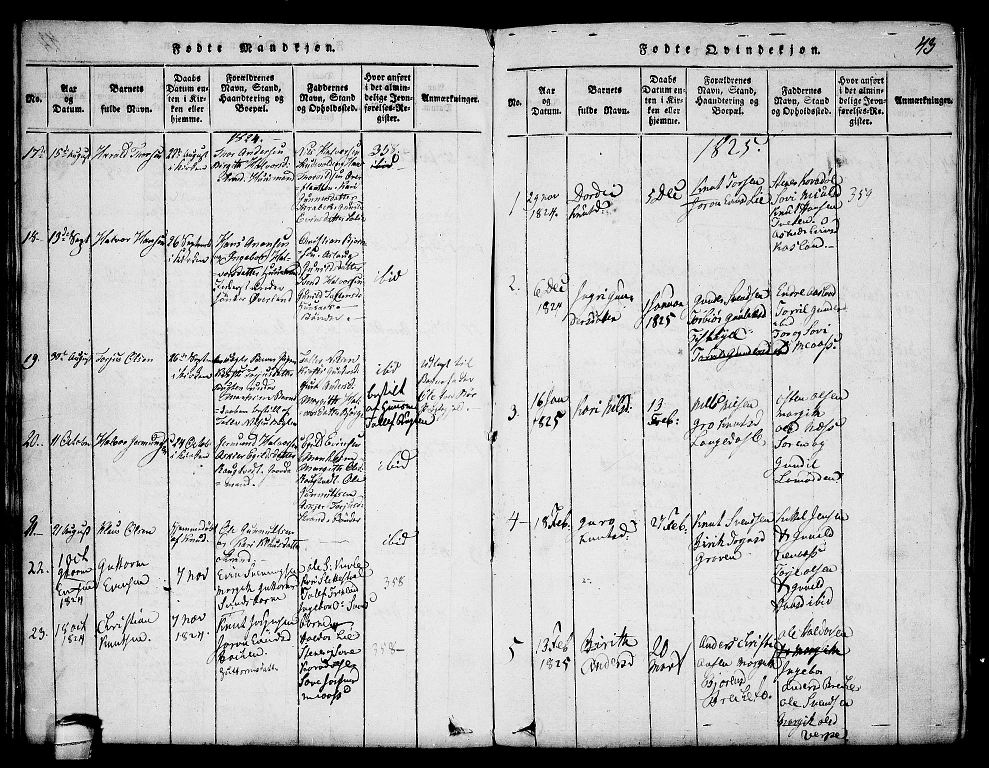 Seljord kirkebøker, SAKO/A-20/F/Fa/L0010: Parish register (official) no. I 10, 1815-1831, p. 43