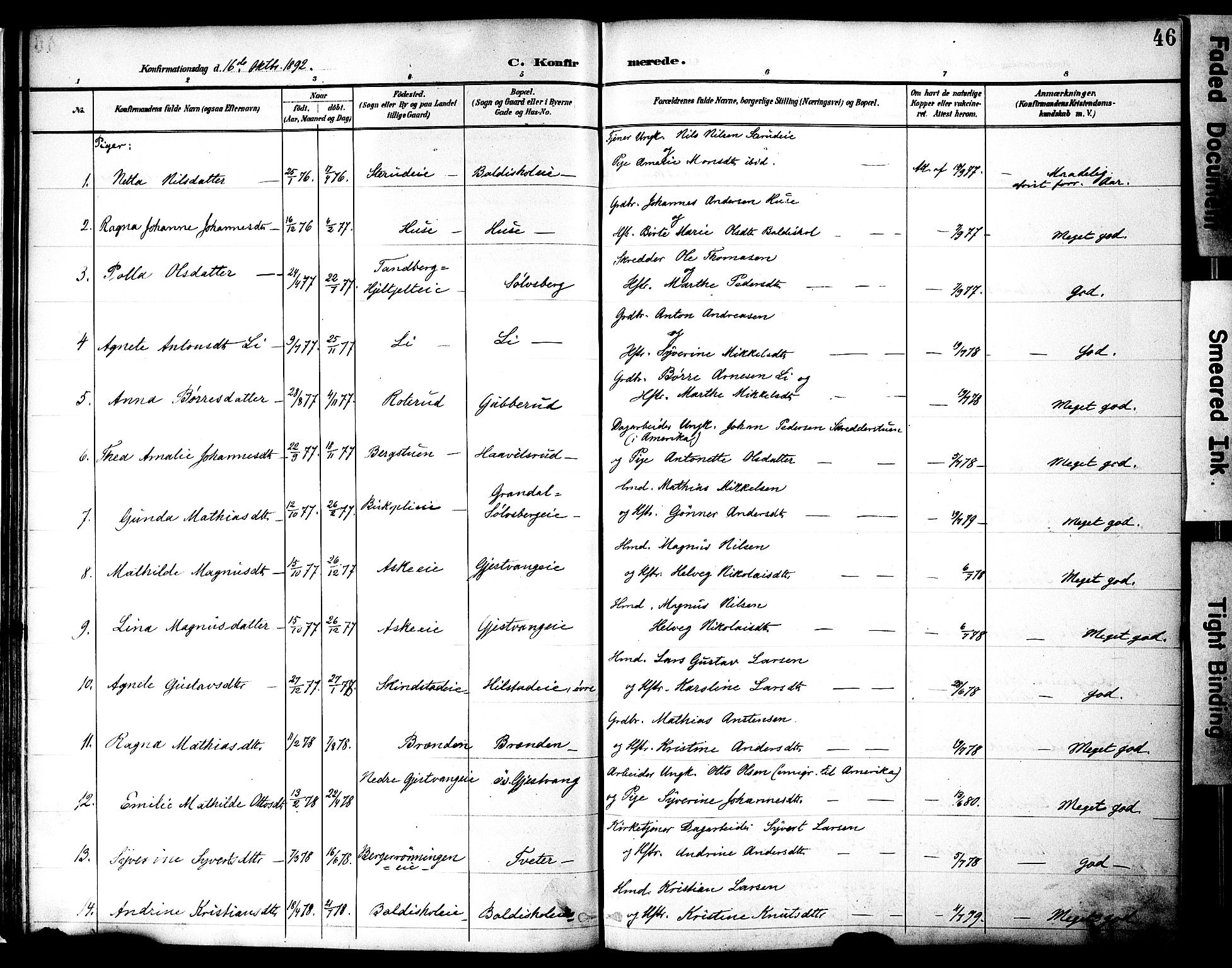 Nes prestekontor, Hedmark, AV/SAH-PREST-020/K/Ka/L0010: Parish register (official) no. 10, 1887-1905, p. 46