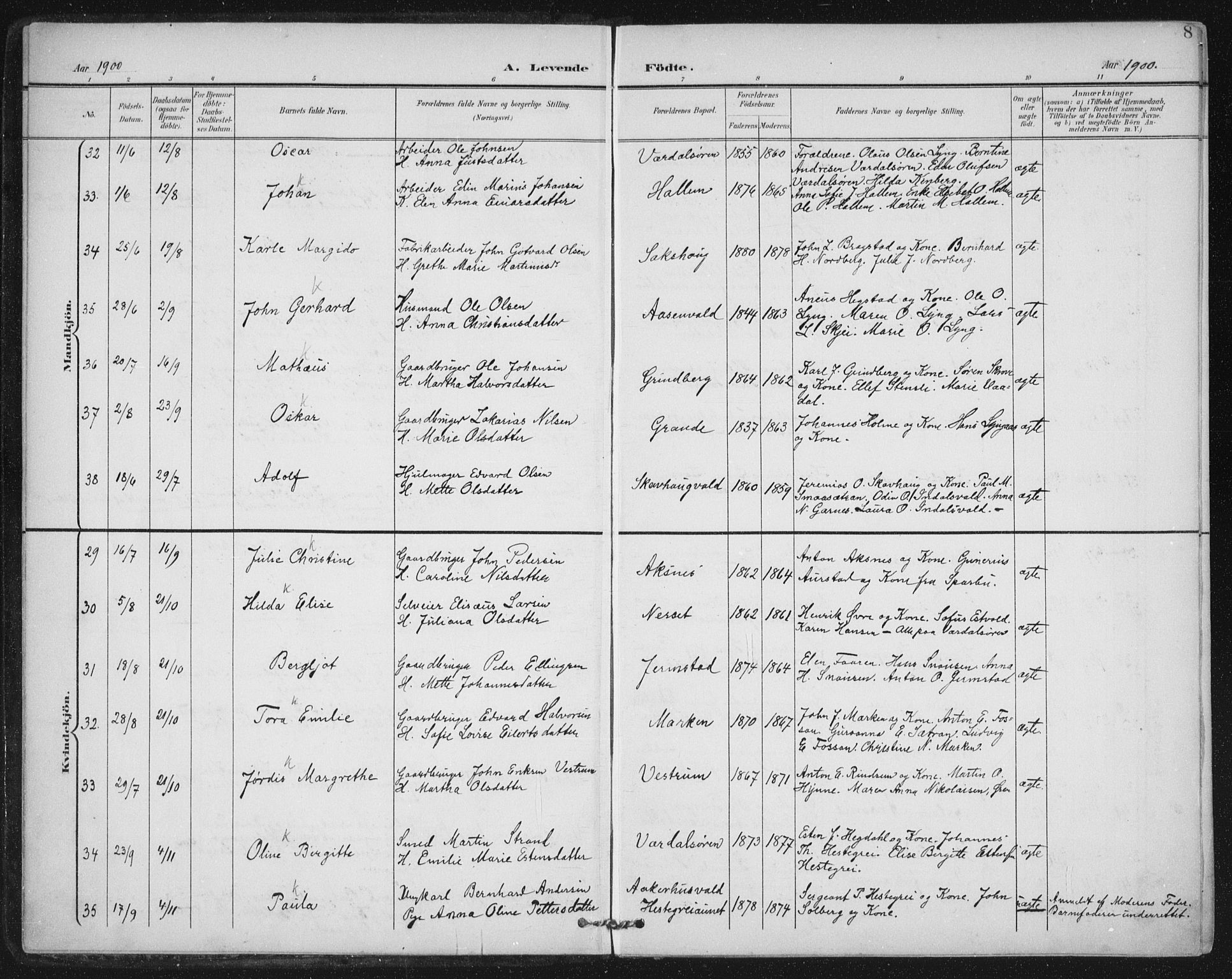 Ministerialprotokoller, klokkerbøker og fødselsregistre - Nord-Trøndelag, AV/SAT-A-1458/723/L0246: Parish register (official) no. 723A15, 1900-1917, p. 8