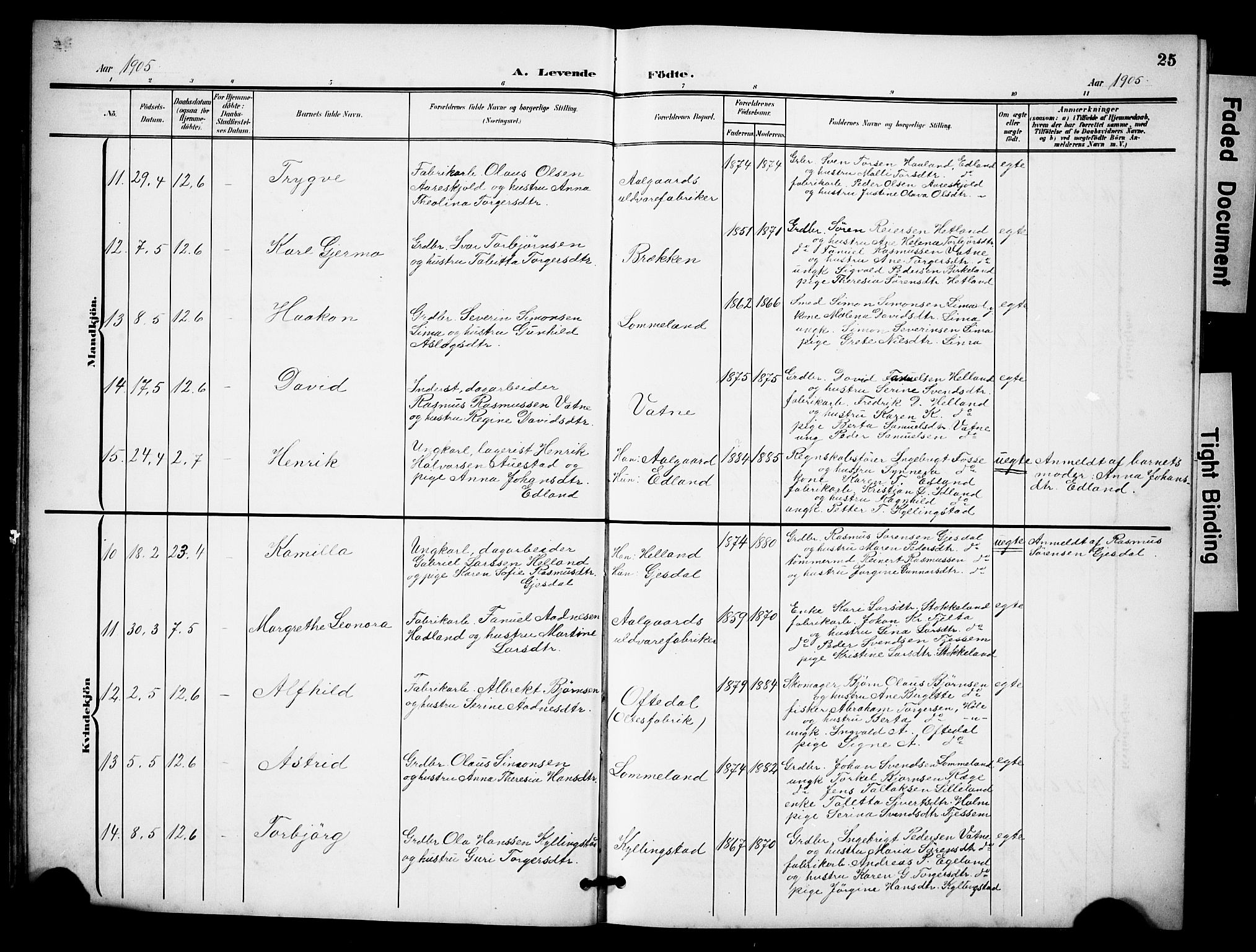 Lye sokneprestkontor, AV/SAST-A-101794/001/30BB/L0009: Parish register (copy) no. B 9, 1902-1923, p. 25