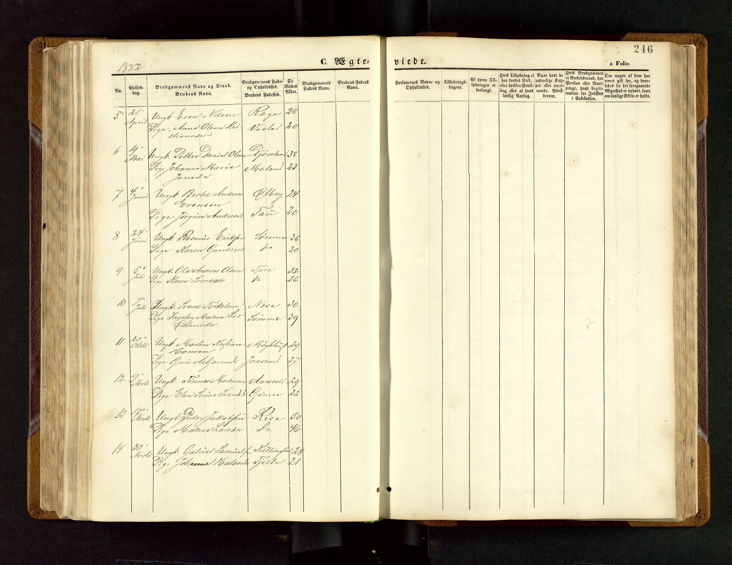 Håland sokneprestkontor, AV/SAST-A-101802/001/30BB/L0003: Parish register (copy) no. B 3, 1873-1893, p. 246