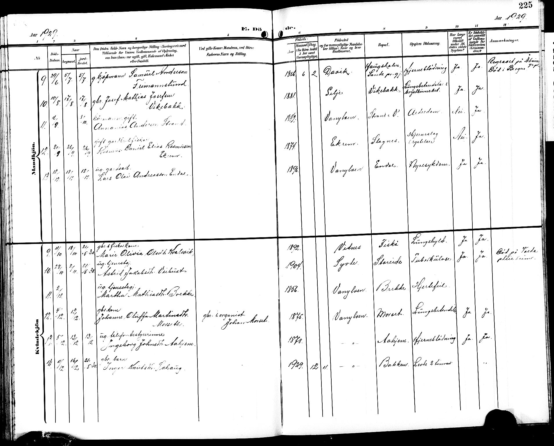 Ministerialprotokoller, klokkerbøker og fødselsregistre - Møre og Romsdal, SAT/A-1454/501/L0018: Parish register (copy) no. 501C04, 1902-1930, p. 225
