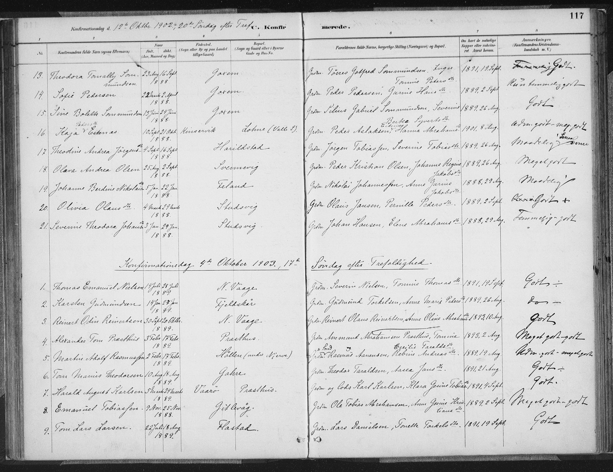 Sør-Audnedal sokneprestkontor, SAK/1111-0039/F/Fa/Faa/L0004: Parish register (official) no. A 4, 1884-1909, p. 117