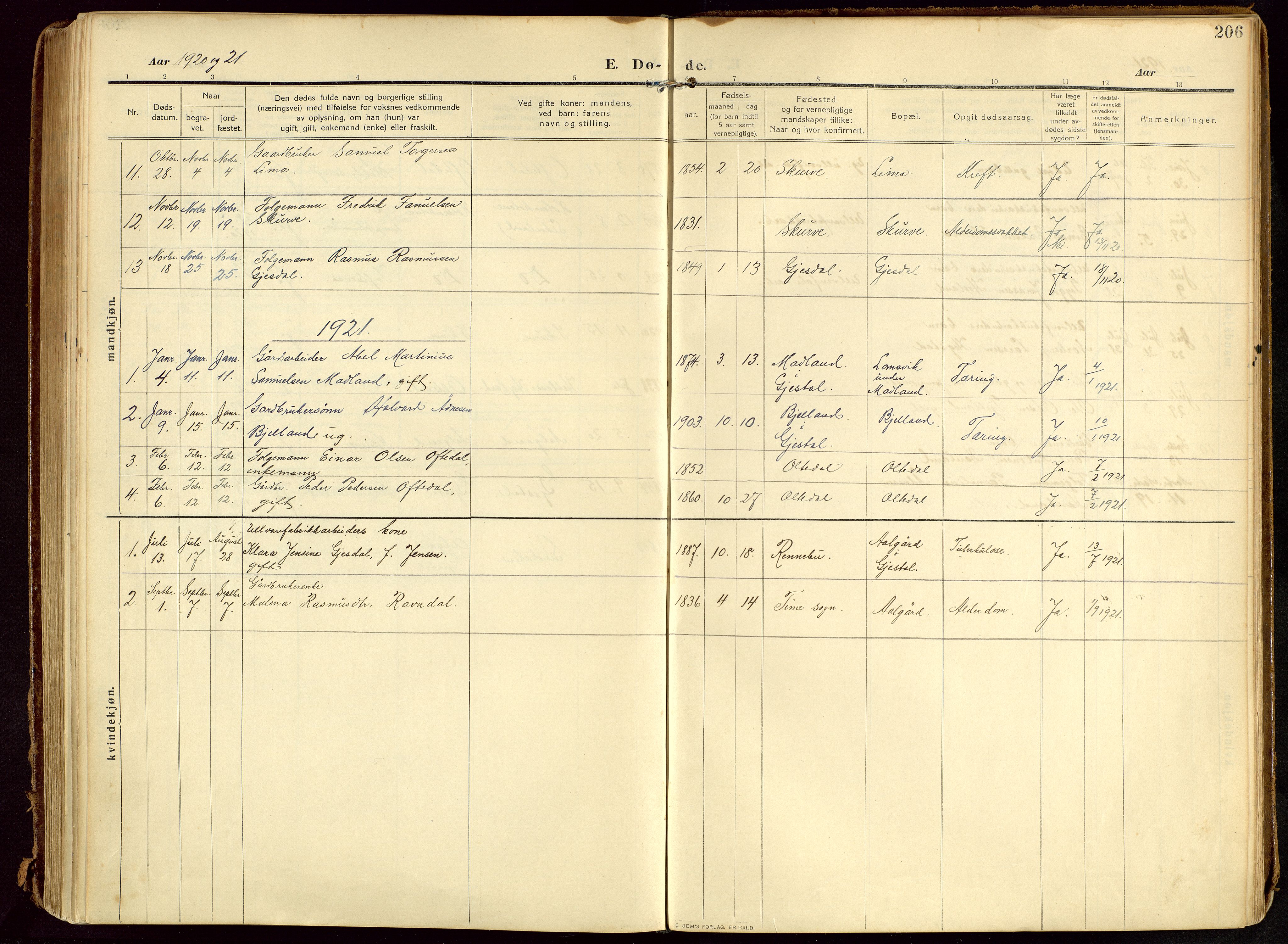 Lye sokneprestkontor, SAST/A-101794/002/B/L0001: Parish register (official) no. A 13, 1910-1925, p. 206