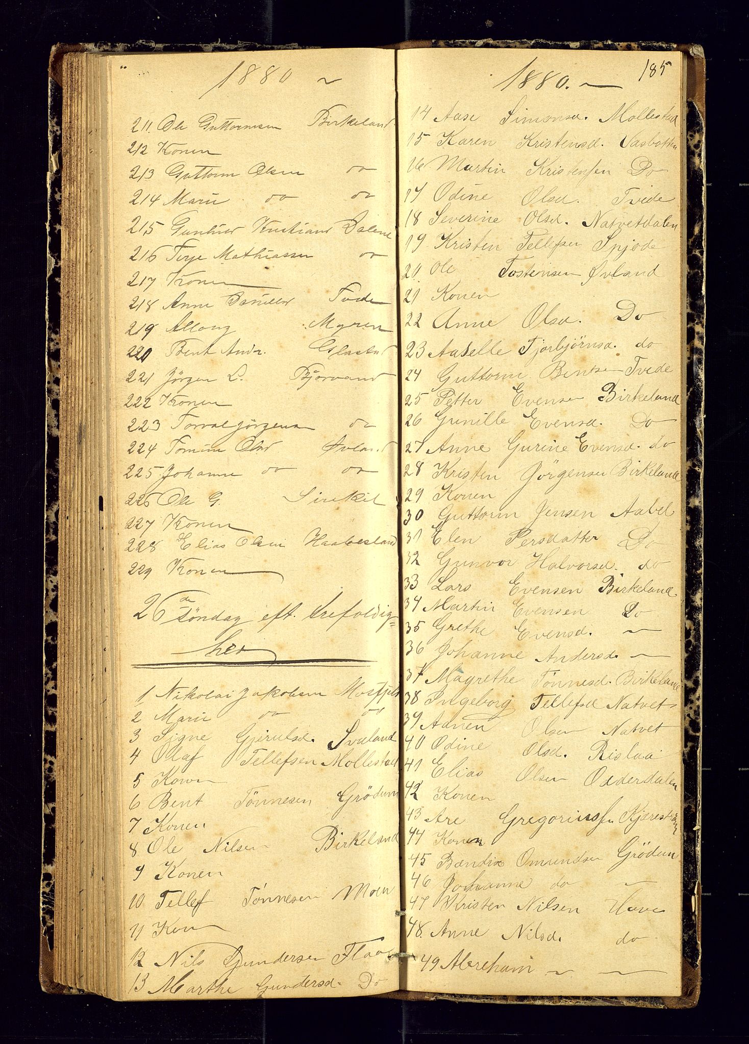 Birkenes sokneprestkontor, AV/SAK-1111-0004/F/Fc/L0006: Communicants register no. C-6, 1872-1880, p. 185