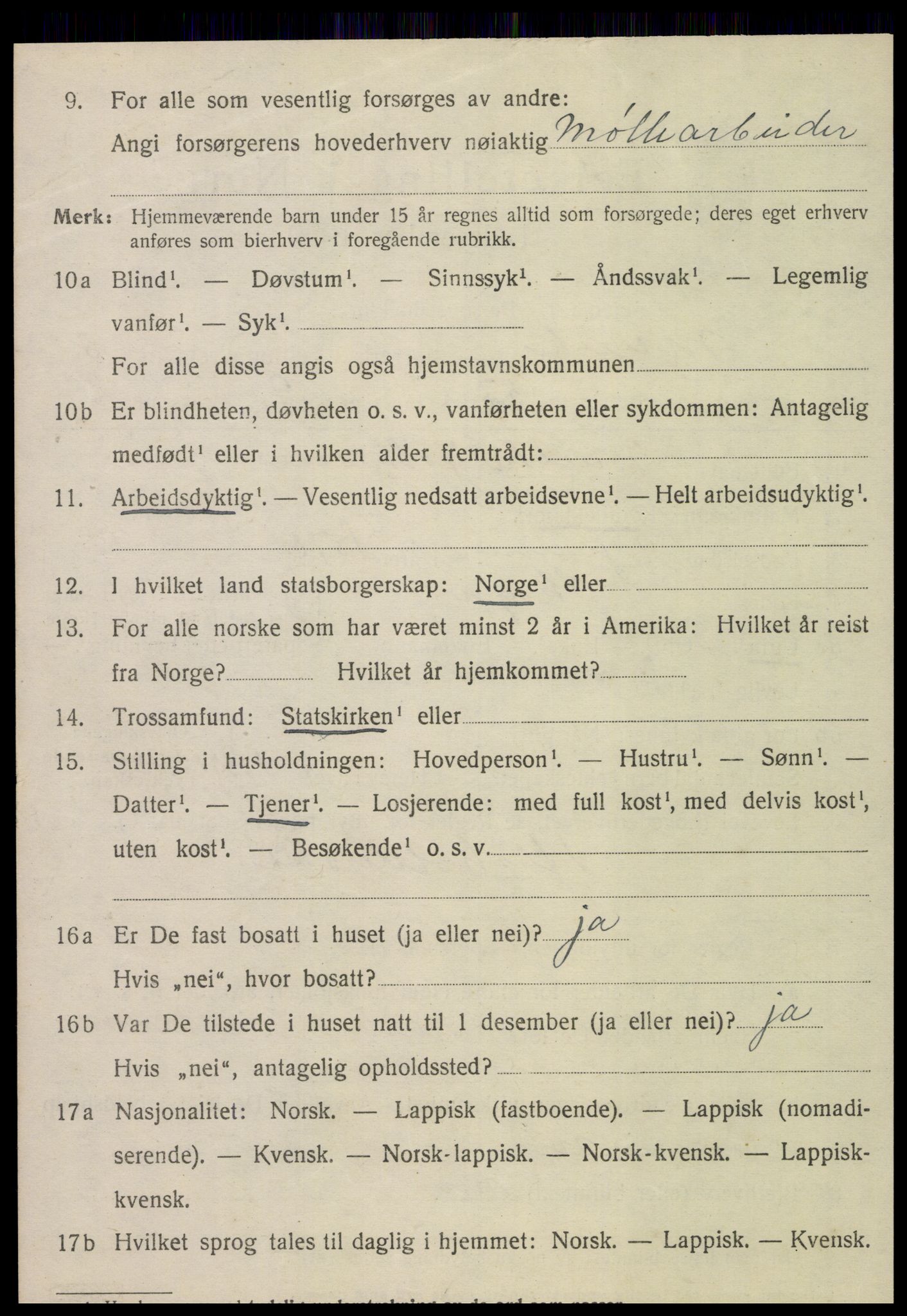 SAT, 1920 census for Meråker, 1920, p. 4525