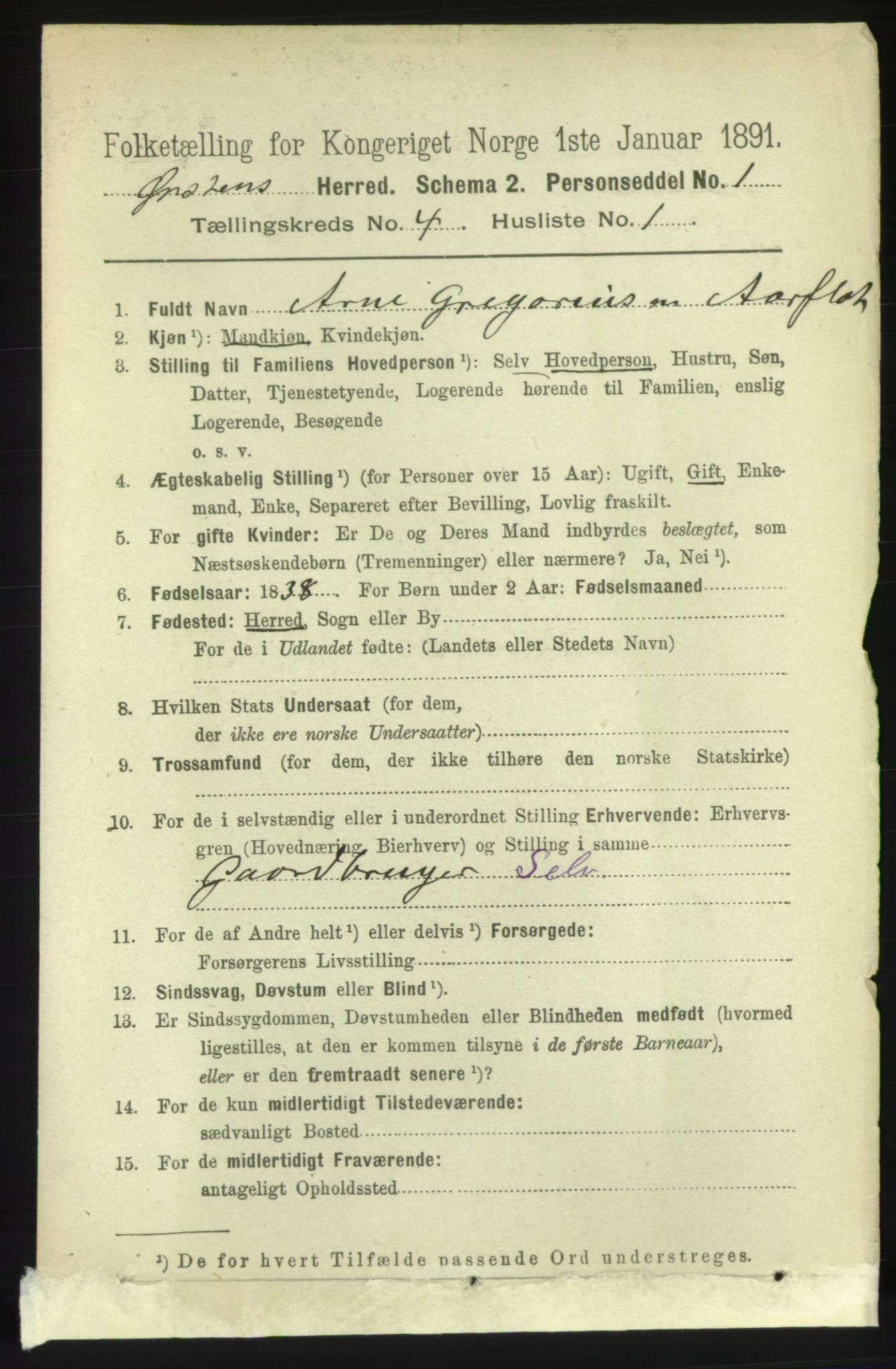 RA, 1891 census for 1520 Ørsta, 1891, p. 1675