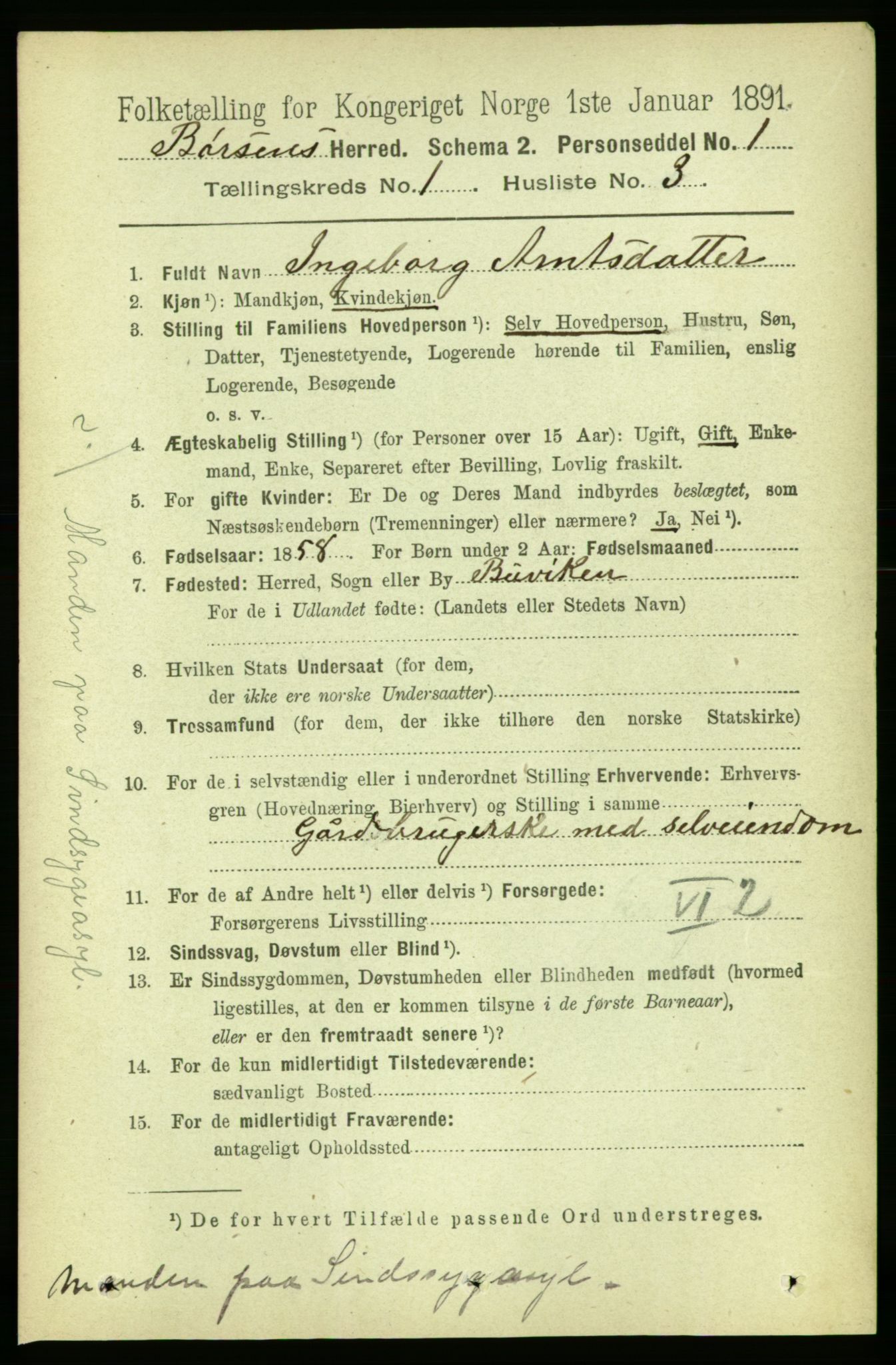 RA, 1891 census for 1658 Børsa, 1891, p. 99