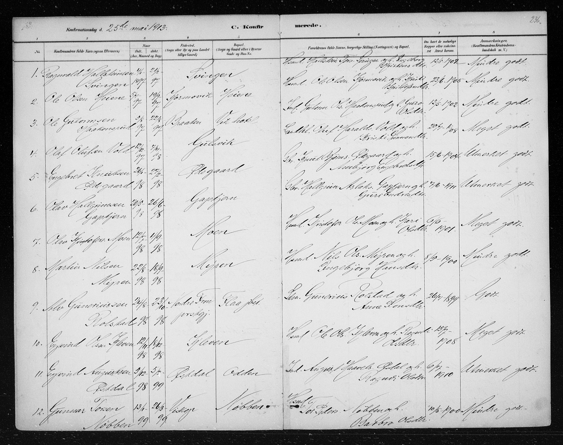 Nes kirkebøker, SAKO/A-236/F/Fa/L0012: Parish register (official) no. 12, 1881-1917, p. 236