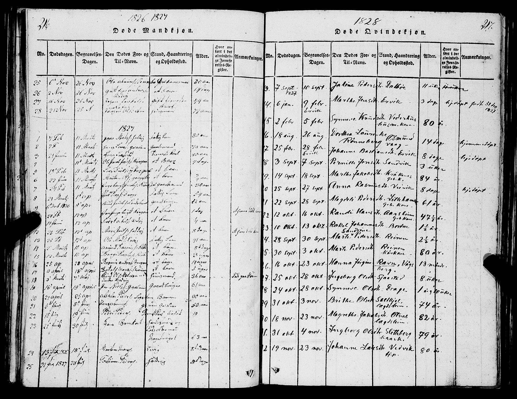 Selje sokneprestembete, AV/SAB-A-99938/H/Ha/Hab/Haba: Parish register (copy) no. A 1, 1816-1828, p. 216-217