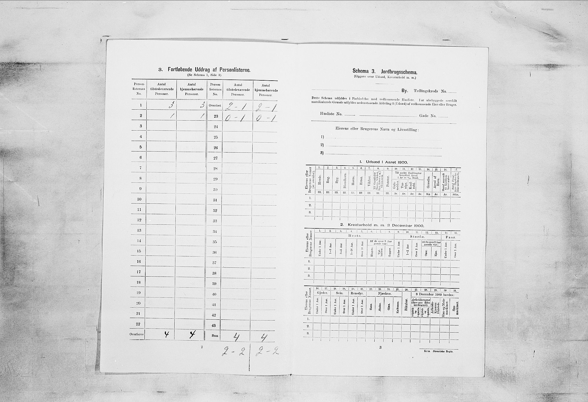 SAKO, 1900 census for Kragerø, 1900, p. 2165