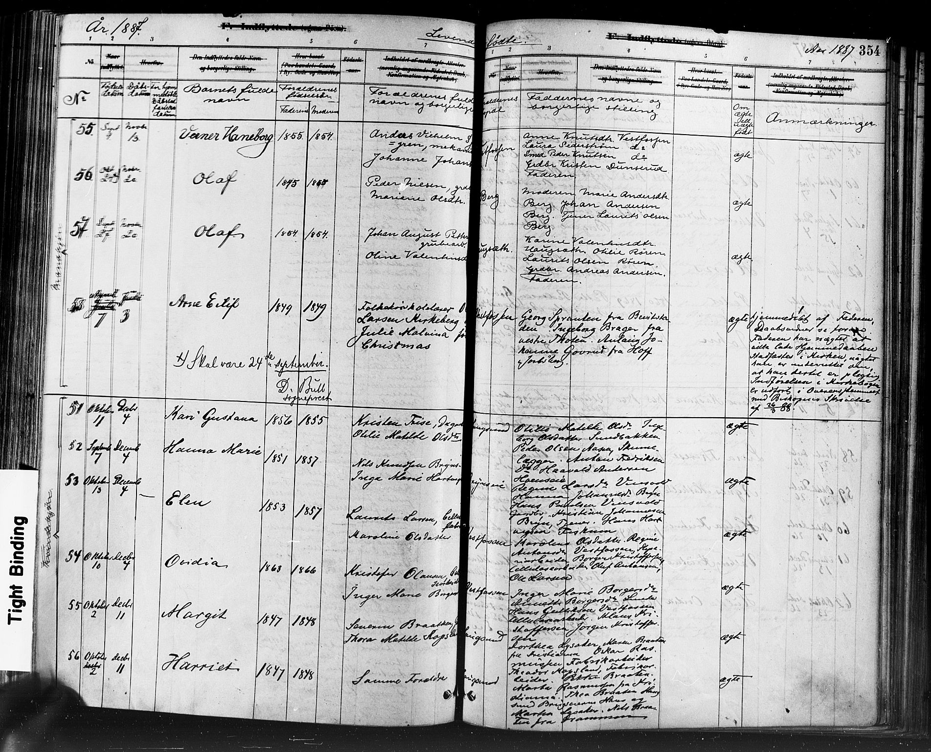 Eiker kirkebøker, AV/SAKO-A-4/F/Fb/L0001: Parish register (official) no. II 1, 1878-1888, p. 354