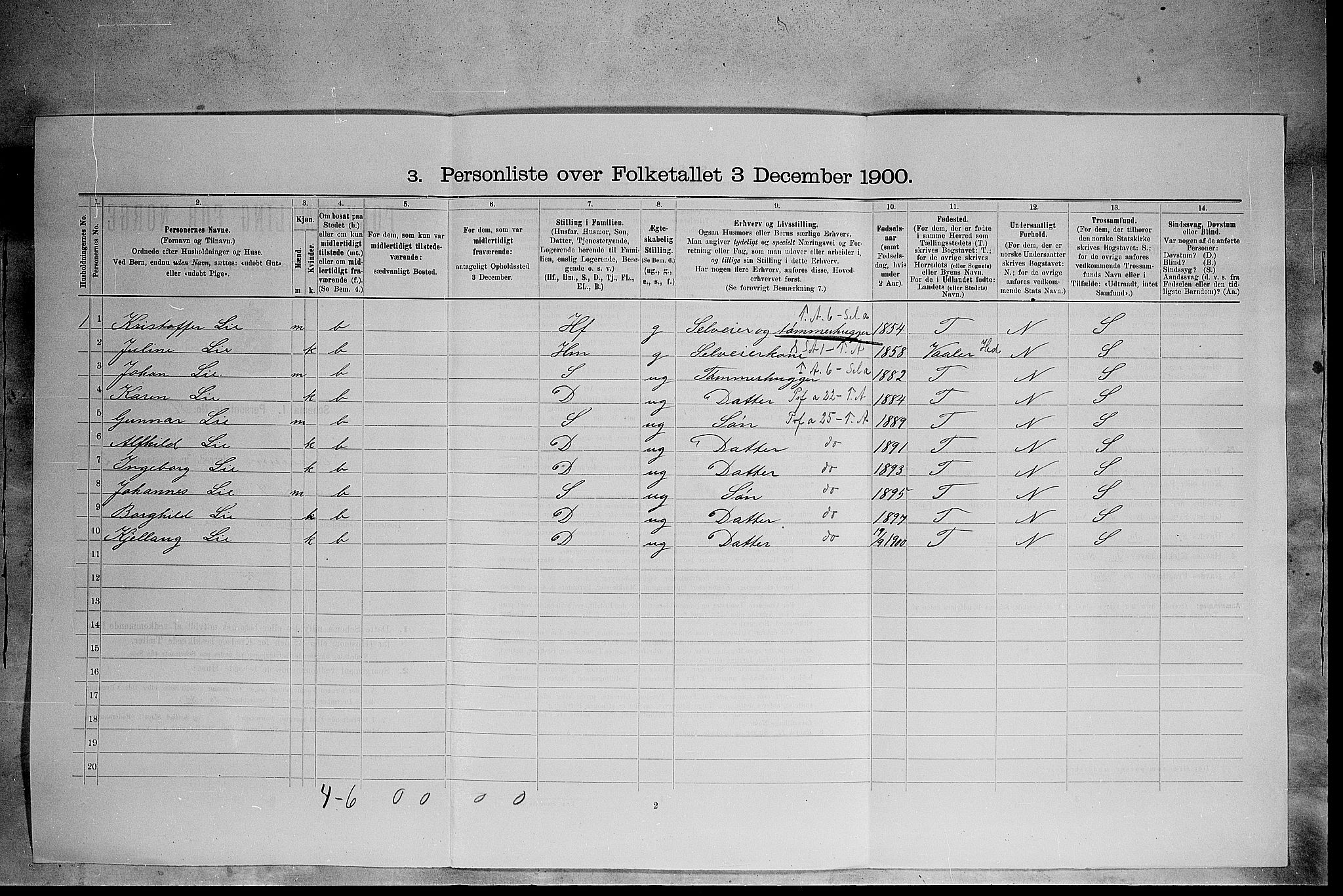 SAH, 1900 census for Elverum, 1900, p. 393