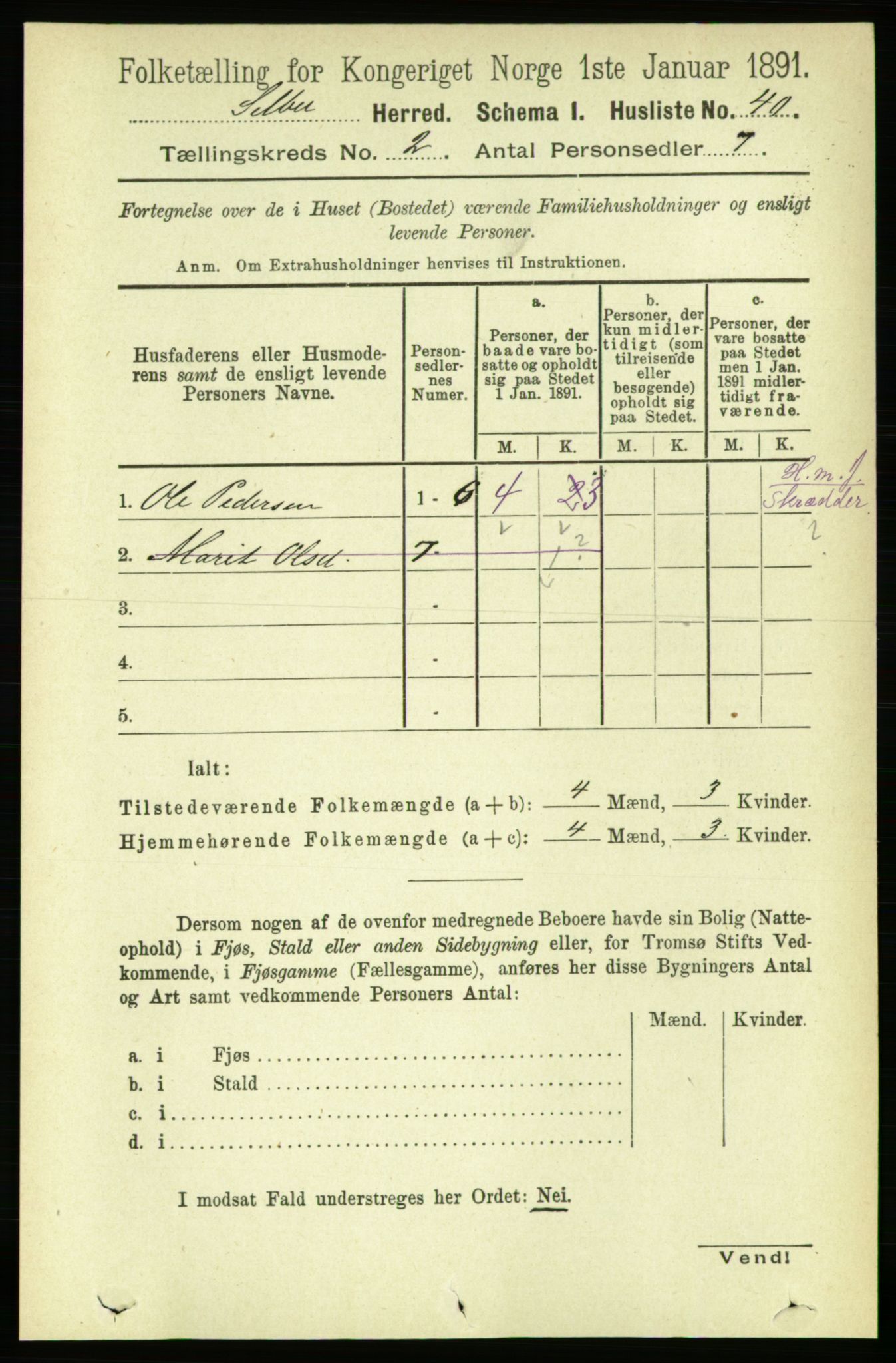 RA, 1891 census for 1664 Selbu, 1891, p. 251