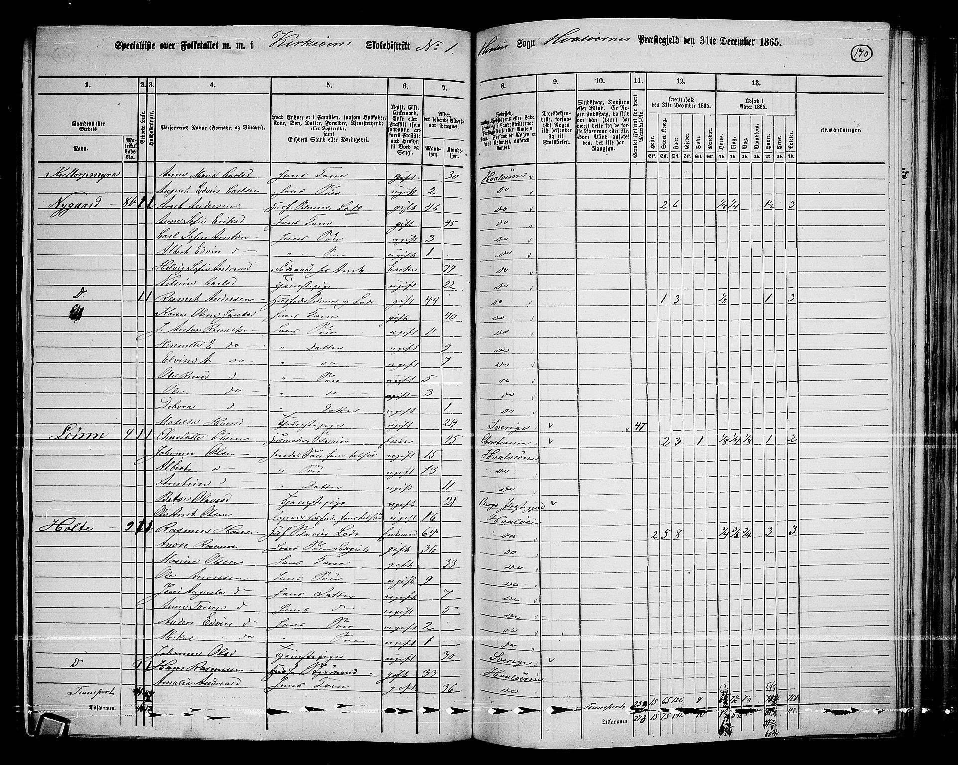 RA, 1865 census for Hvaler, 1865, p. 13