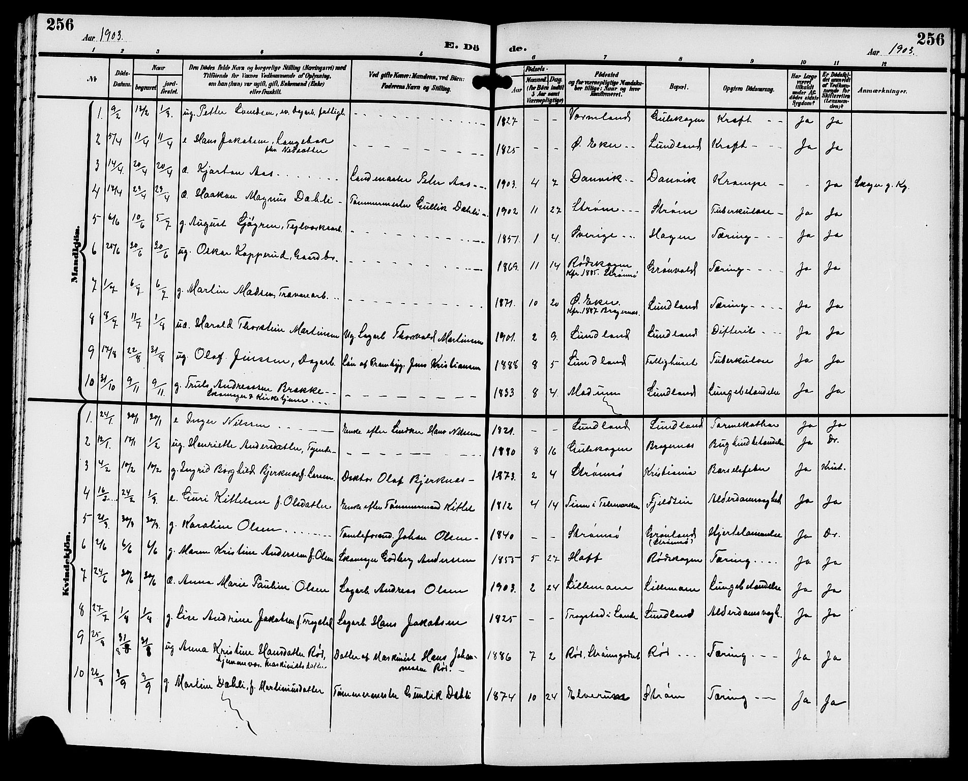 Strømsgodset kirkebøker, SAKO/A-324/G/Ga/L0002: Parish register (copy) no. 2, 1885-1910, p. 256