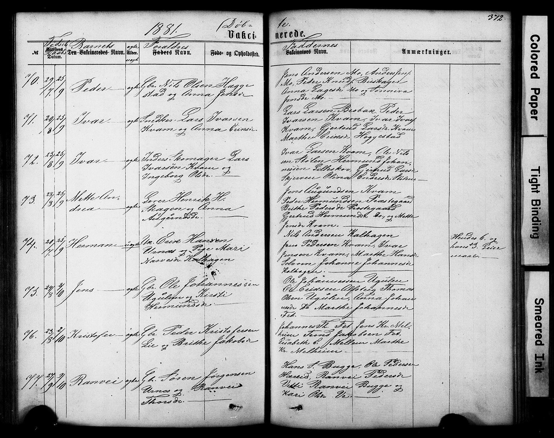 Hafslo sokneprestembete, AV/SAB-A-80301/H/Hab/Haba/L0001: Parish register (copy) no. A 1, 1866-1908, p. 372