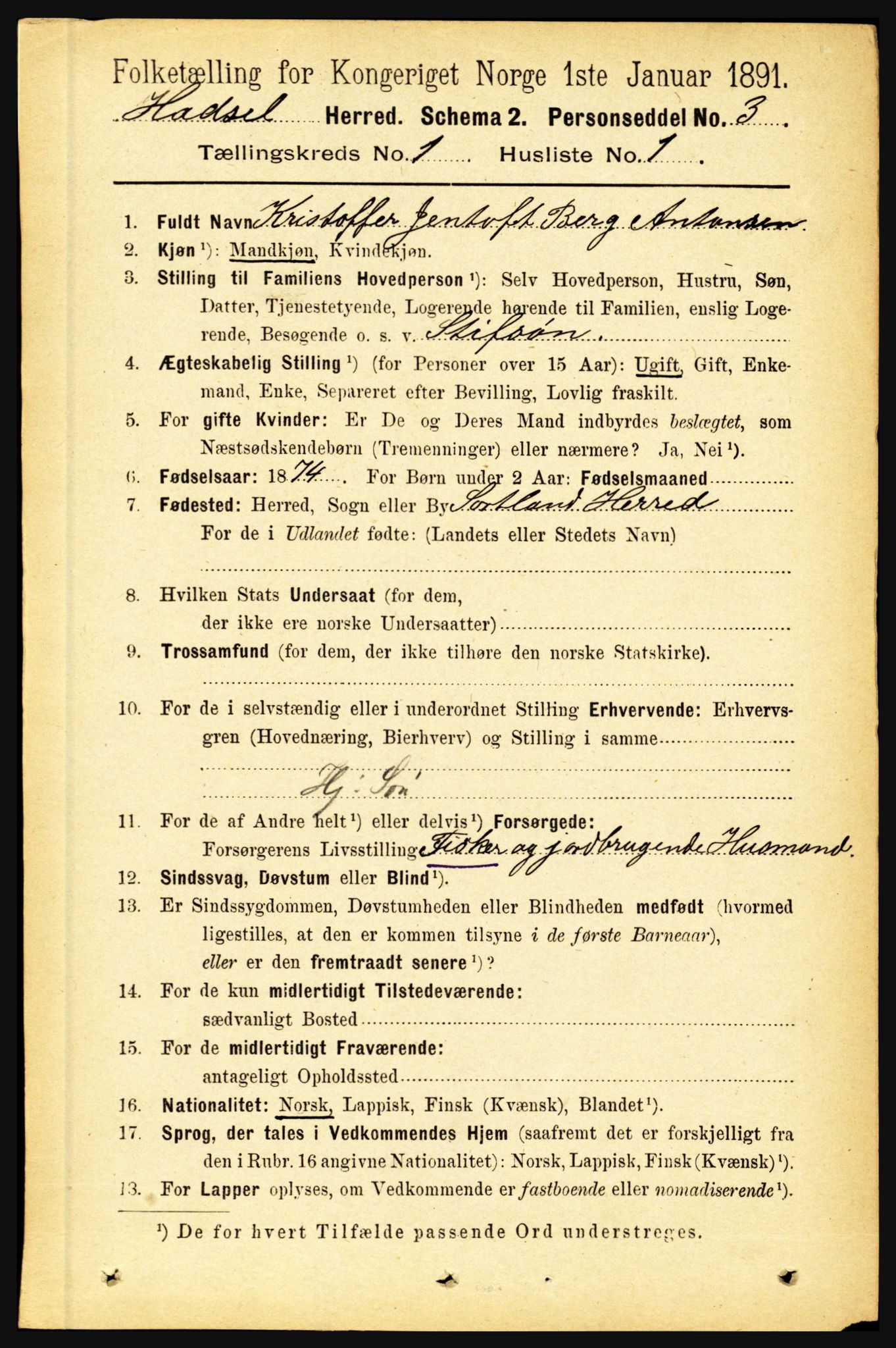 RA, 1891 census for 1866 Hadsel, 1891, p. 113