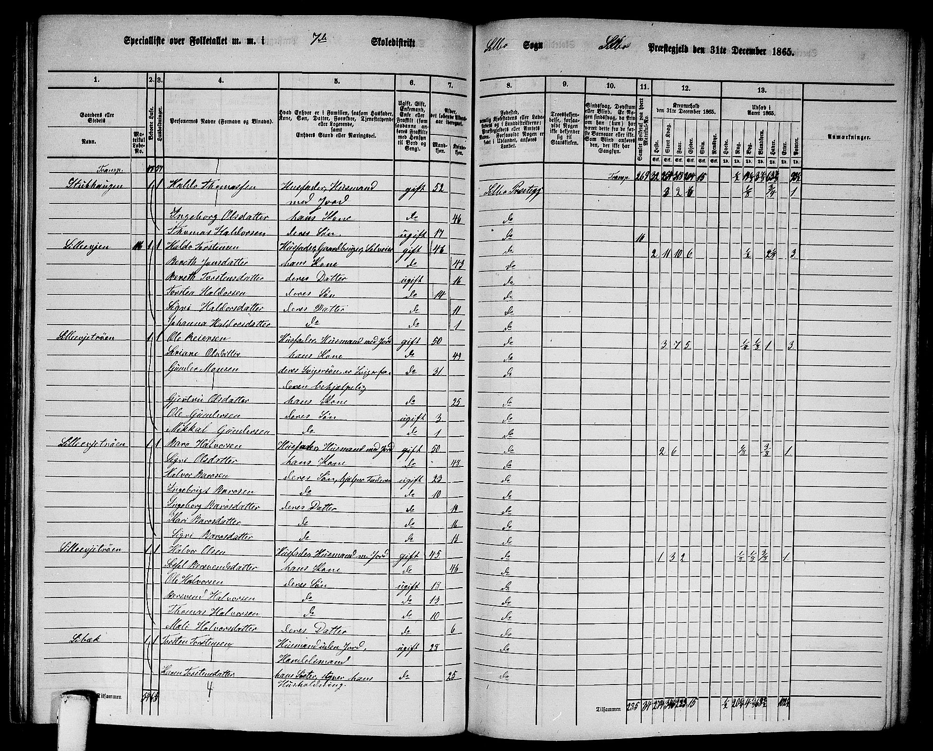 RA, 1865 census for Selbu, 1865, p. 125