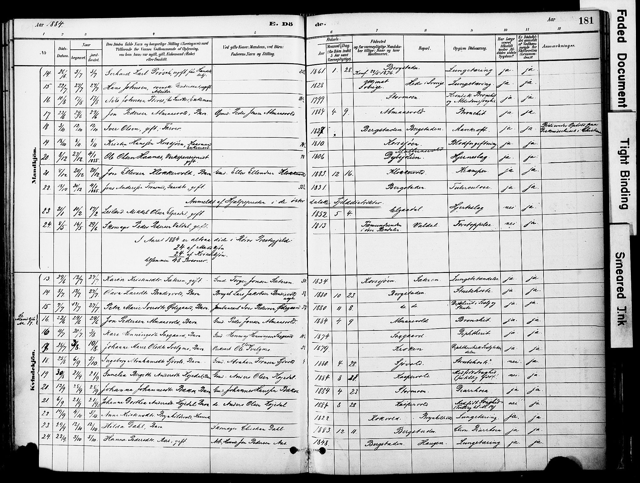 Ministerialprotokoller, klokkerbøker og fødselsregistre - Sør-Trøndelag, SAT/A-1456/681/L0933: Parish register (official) no. 681A11, 1879-1890, p. 181