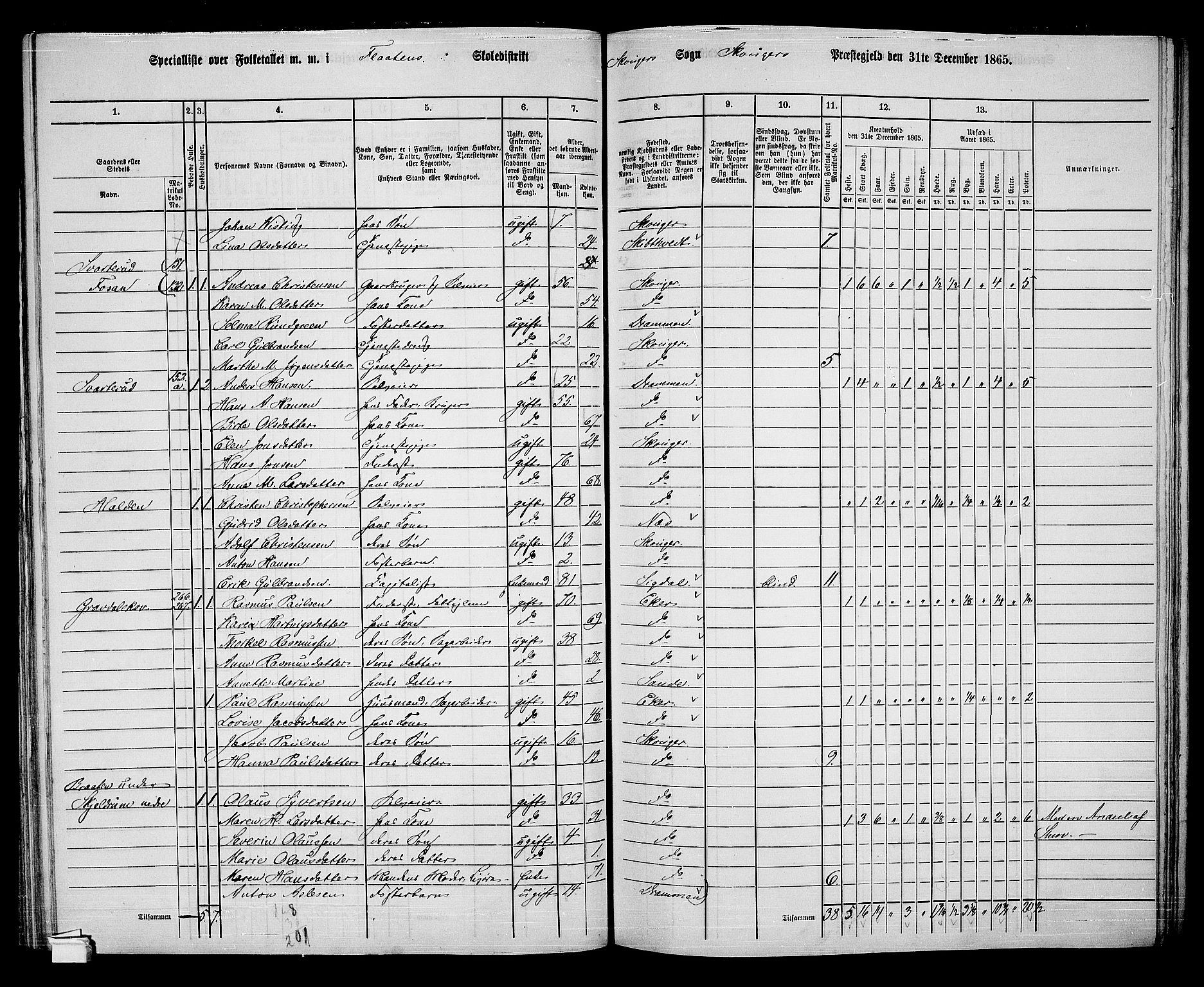 RA, 1865 census for Skoger, 1865, p. 92