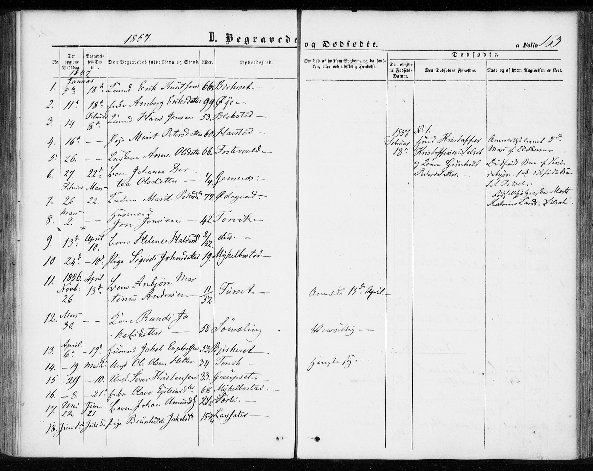 Ministerialprotokoller, klokkerbøker og fødselsregistre - Møre og Romsdal, AV/SAT-A-1454/584/L0965: Parish register (official) no. 584A05, 1857-1868, p. 163