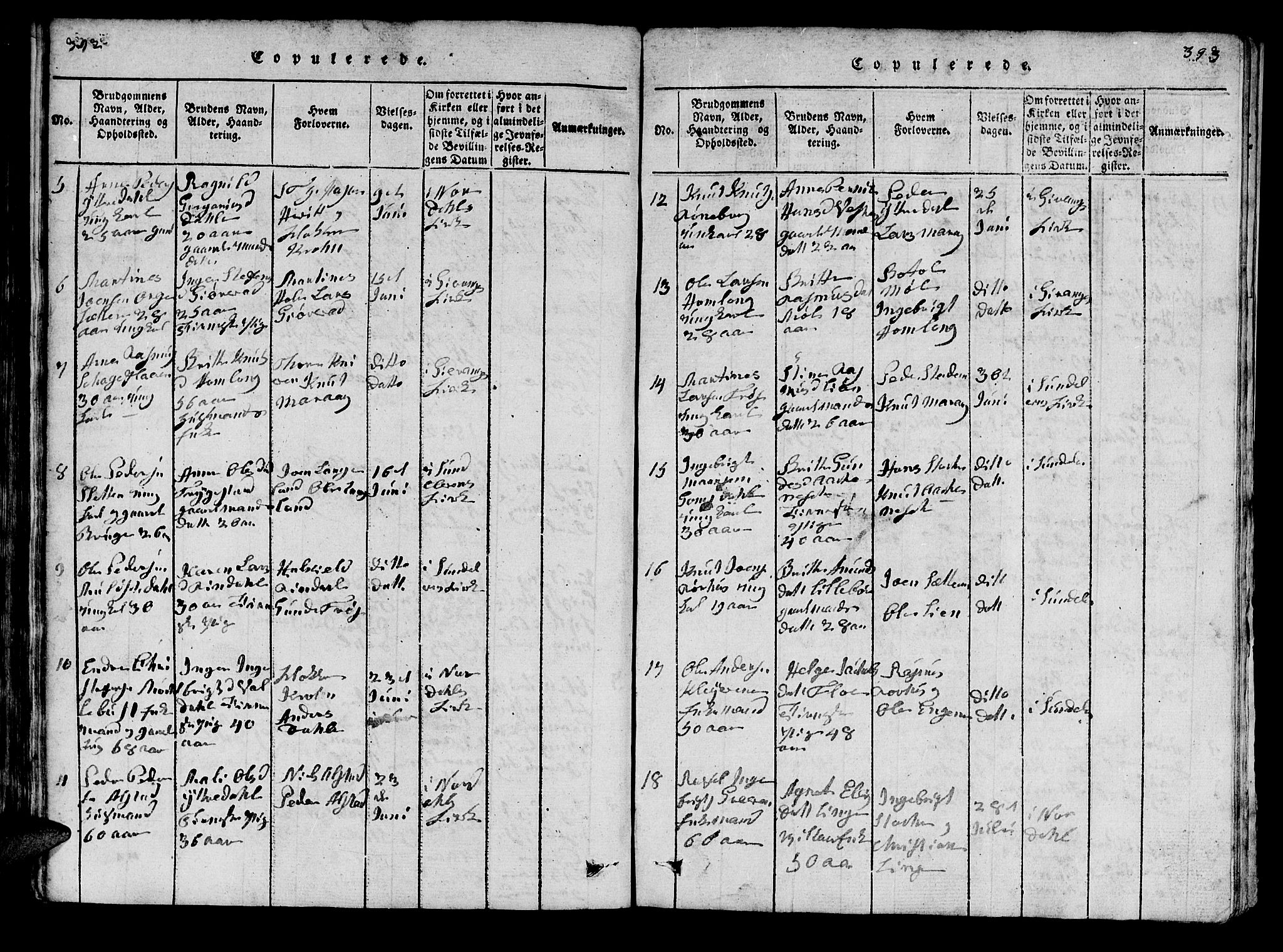 Ministerialprotokoller, klokkerbøker og fødselsregistre - Møre og Romsdal, SAT/A-1454/519/L0246: Parish register (official) no. 519A05, 1817-1834, p. 392-393