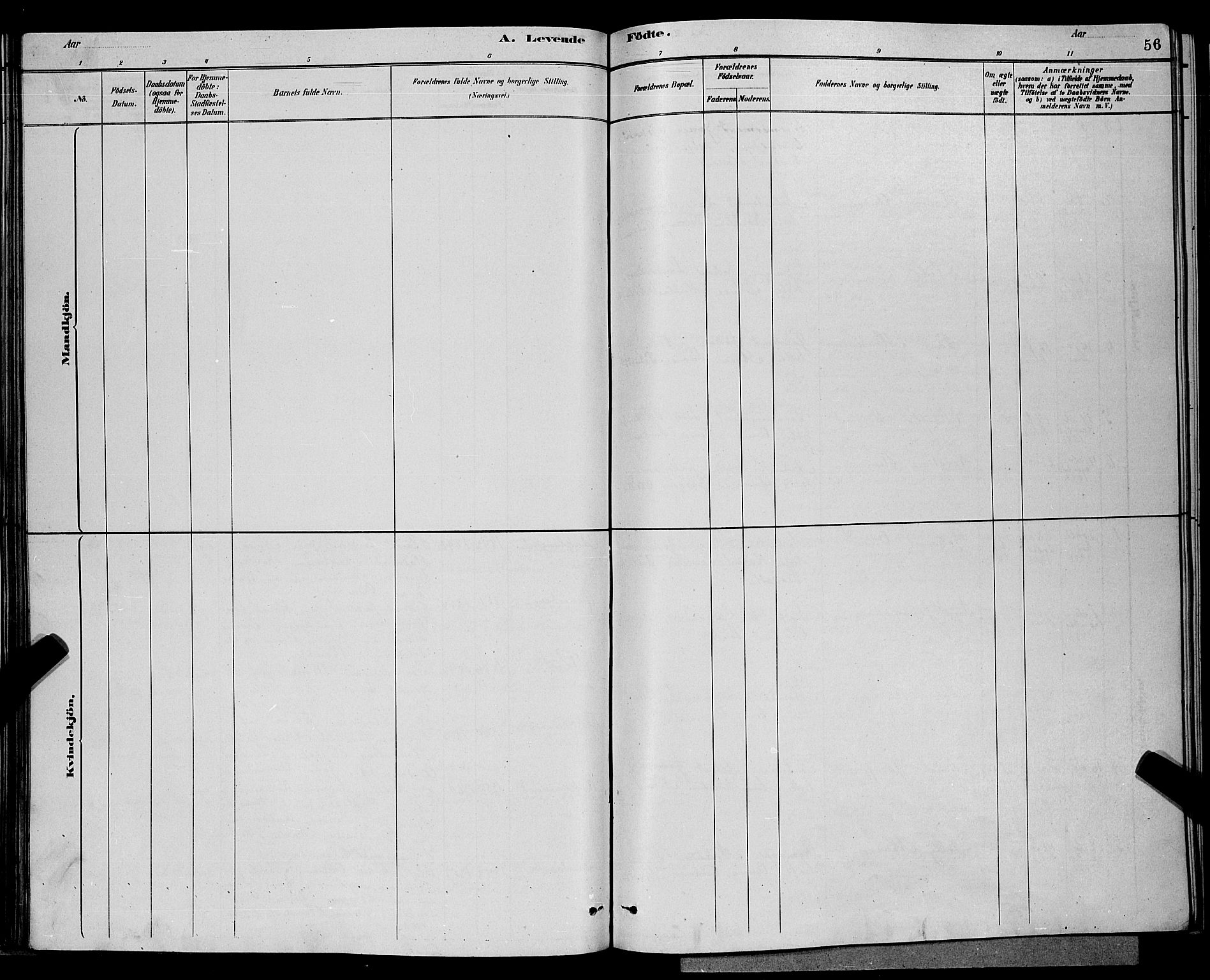Eidanger kirkebøker, SAKO/A-261/G/Ga/L0002: Parish register (copy) no. 2, 1879-1892, p. 56