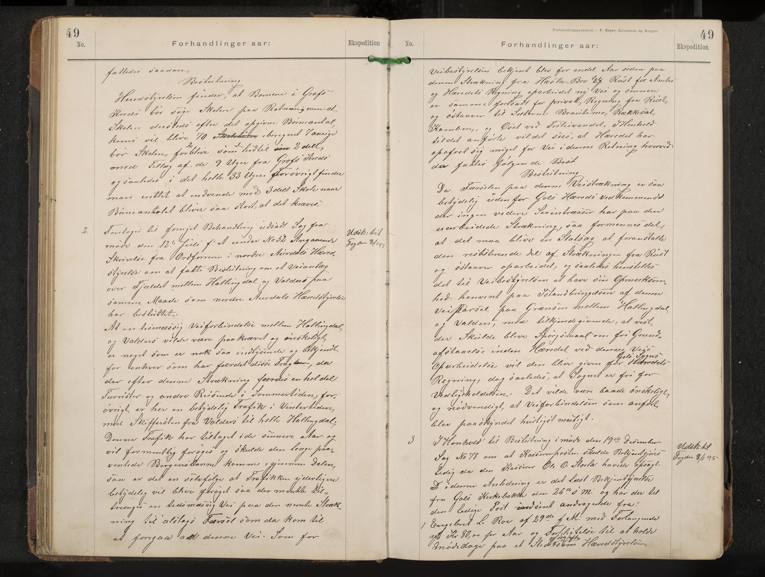 Gol formannskap og sentraladministrasjon, IKAK/0617021-1/A/Aa/L0003: Møtebok, 1892-1905, p. 49