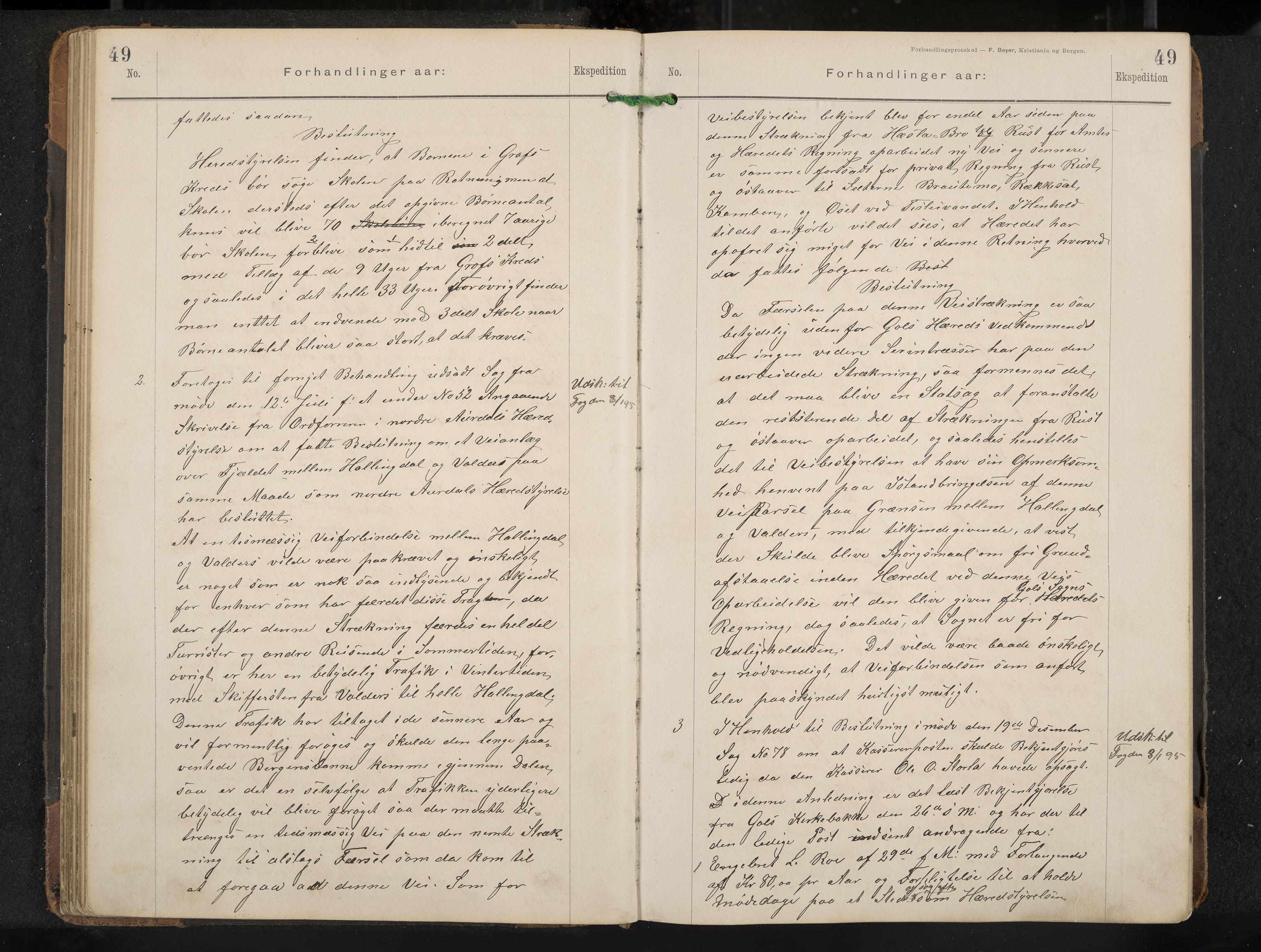 Gol formannskap og sentraladministrasjon, IKAK/0617021-1/A/Aa/L0003: Møtebok, 1892-1905, p. 49