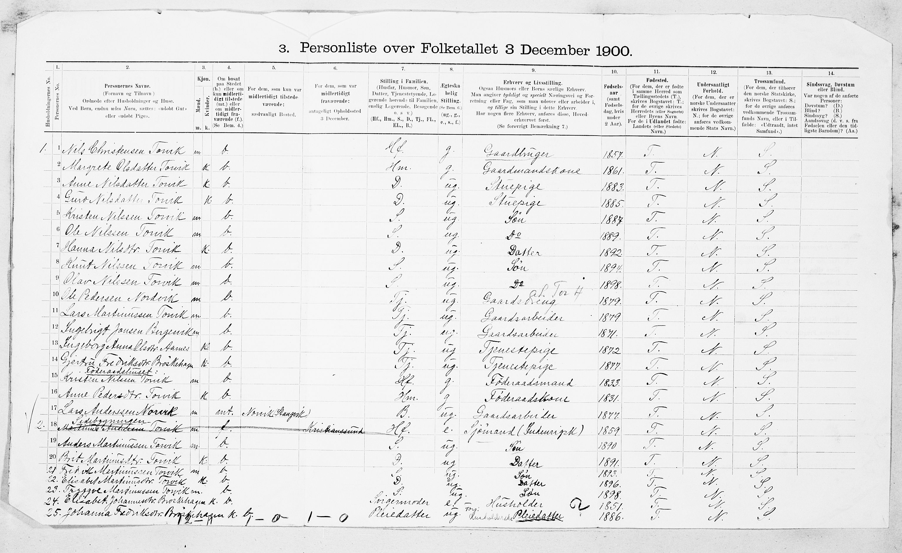 SAT, 1900 census for Stangvik, 1900, p. 29