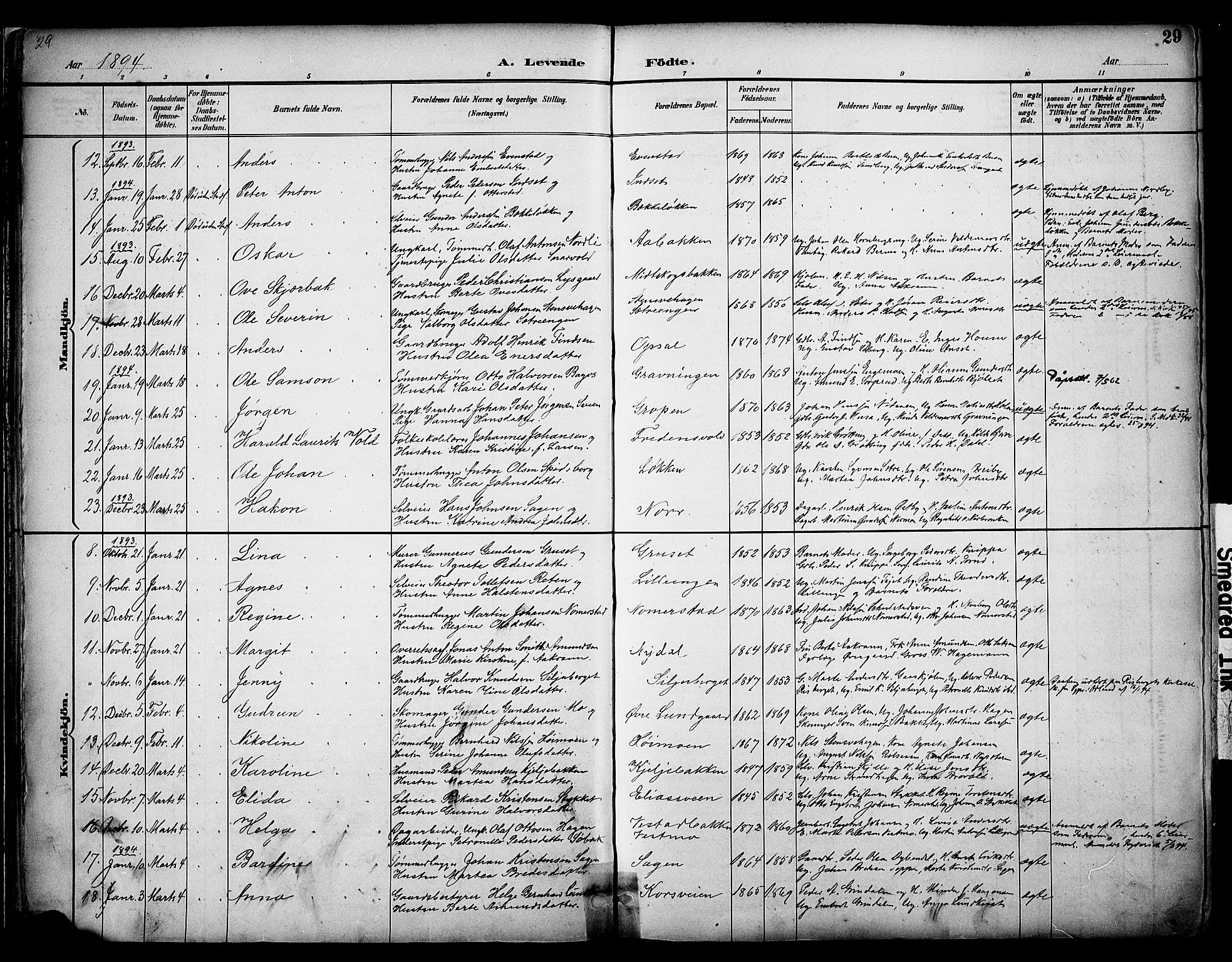 Elverum prestekontor, AV/SAH-PREST-044/H/Ha/Haa/L0014: Parish register (official) no. 14, 1891-1909, p. 29