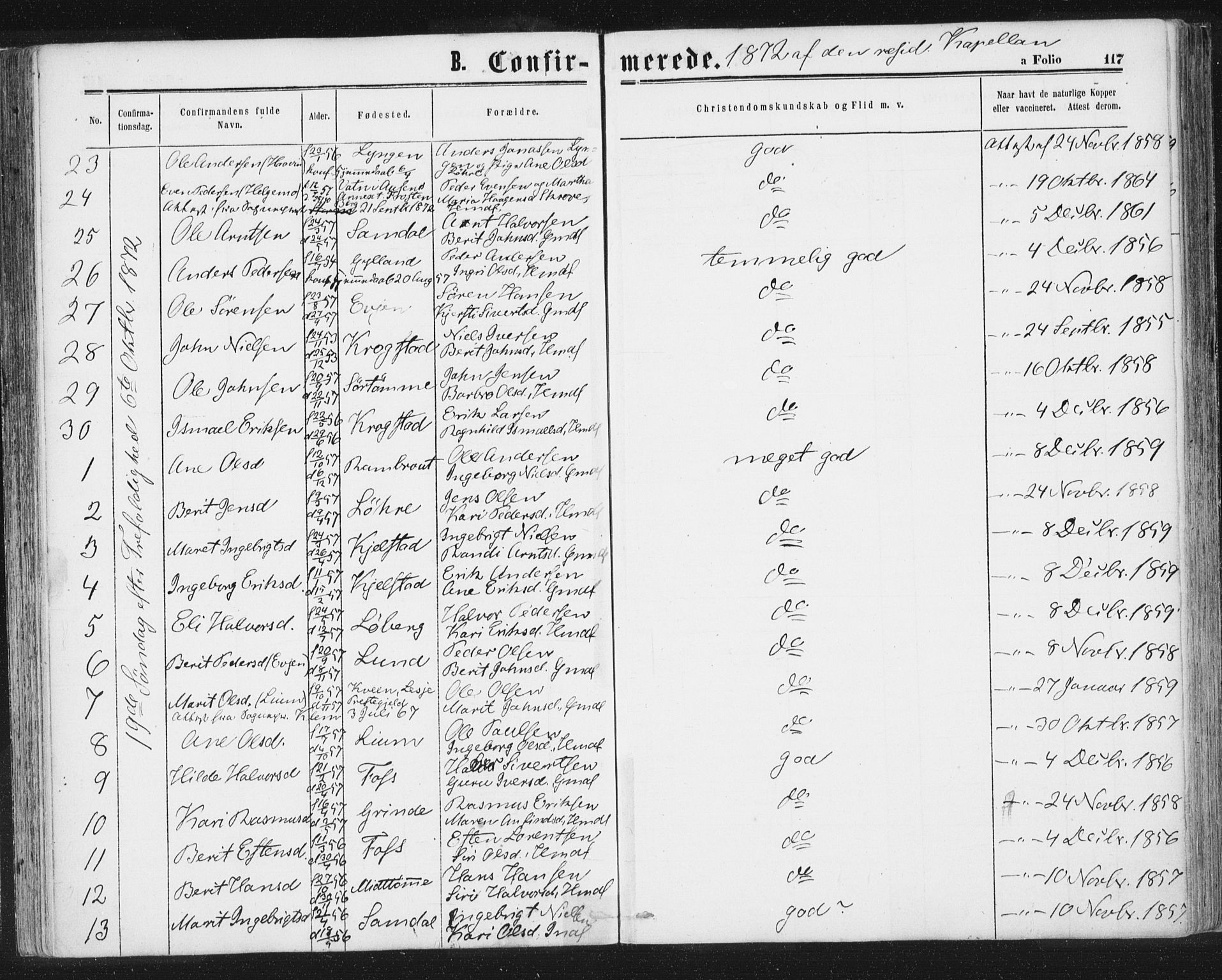 Ministerialprotokoller, klokkerbøker og fødselsregistre - Sør-Trøndelag, SAT/A-1456/692/L1104: Parish register (official) no. 692A04, 1862-1878, p. 117