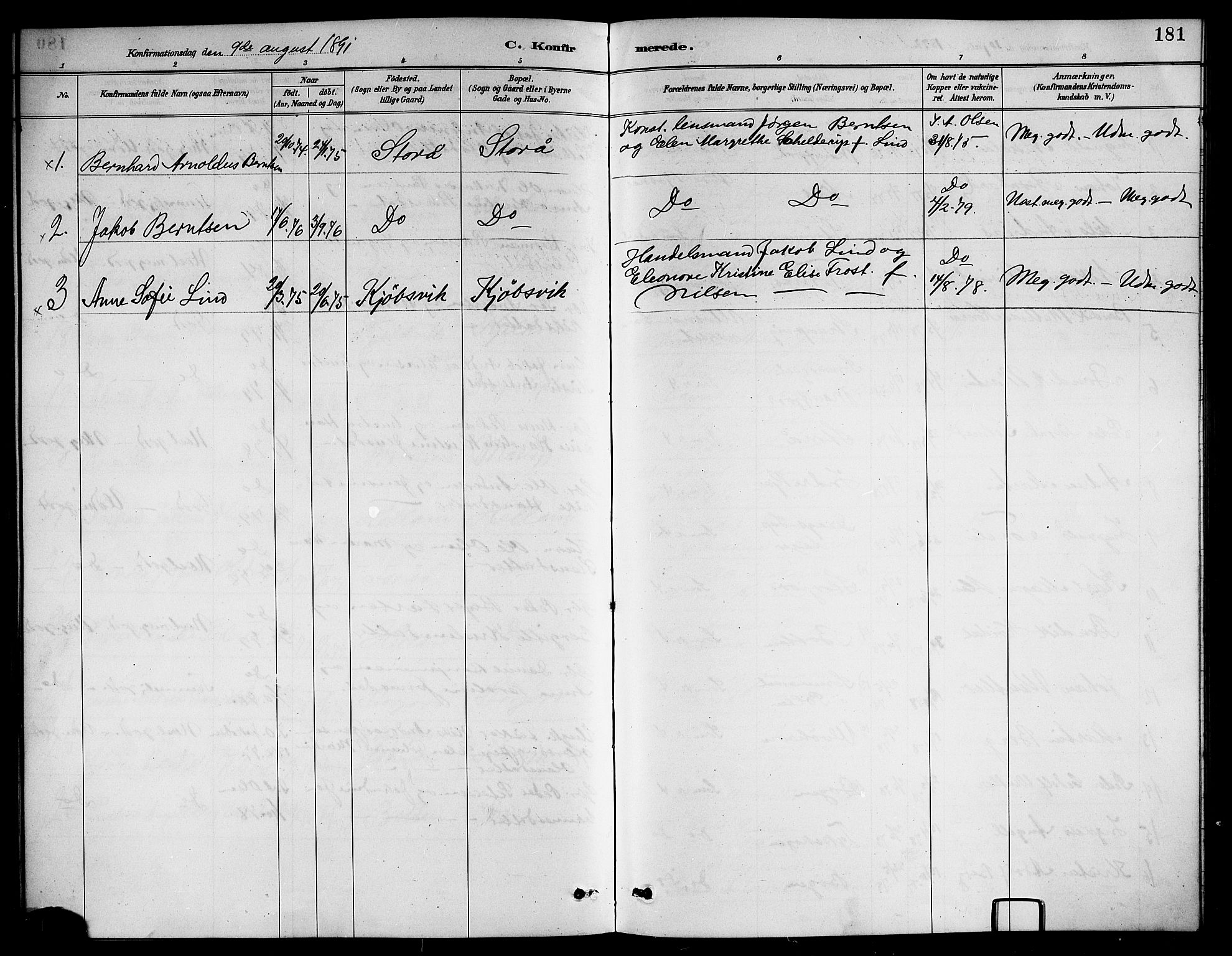 Ministerialprotokoller, klokkerbøker og fødselsregistre - Nordland, AV/SAT-A-1459/861/L0876: Parish register (copy) no. 861C02, 1887-1903, p. 181