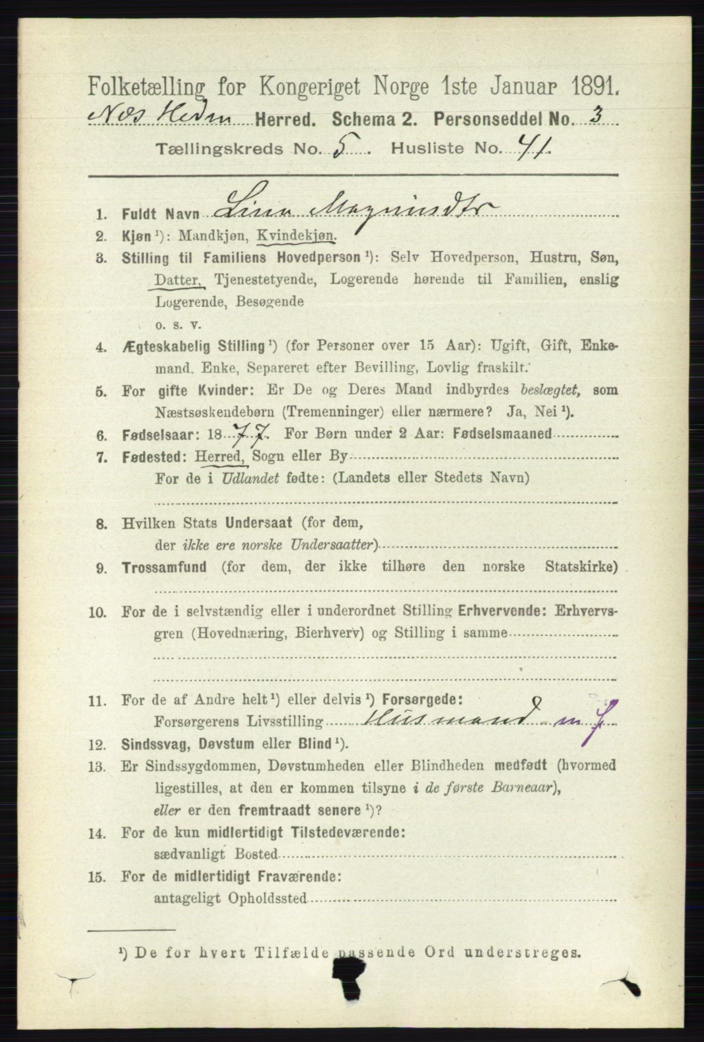 RA, 1891 census for 0411 Nes, 1891, p. 2846