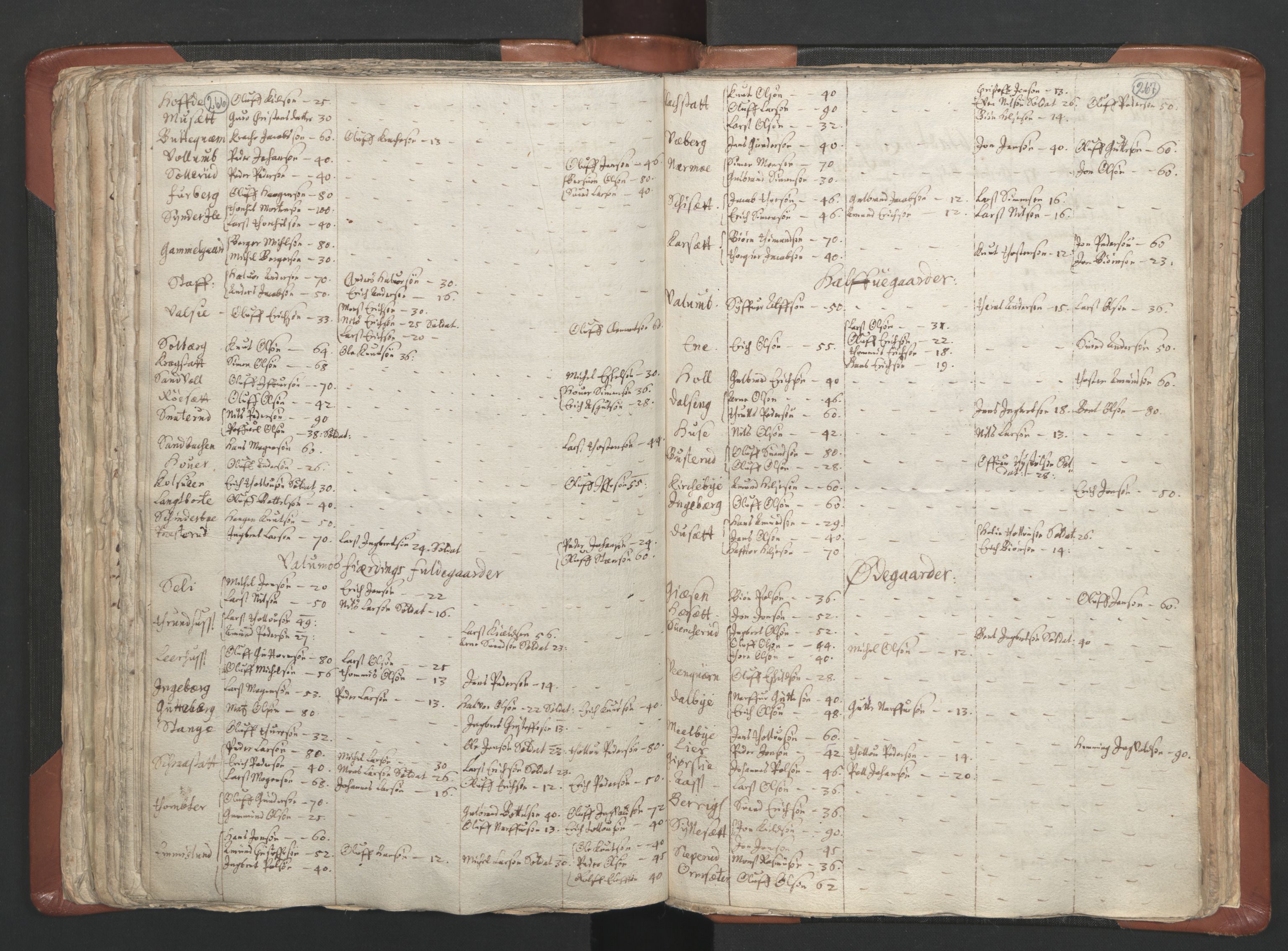 RA, Vicar's Census 1664-1666, no. 5: Hedmark deanery, 1664-1666, p. 266-267