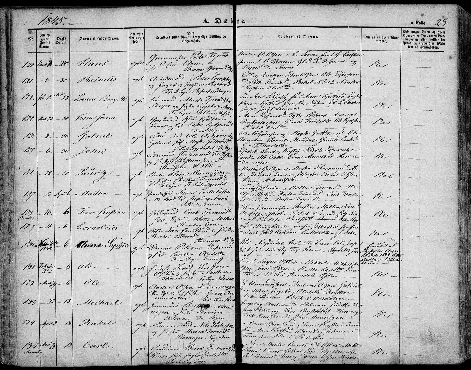 Domkirken sokneprestkontor, SAST/A-101812/001/30/30BA/L0016: Parish register (official) no. A 15, 1844-1854, p. 25