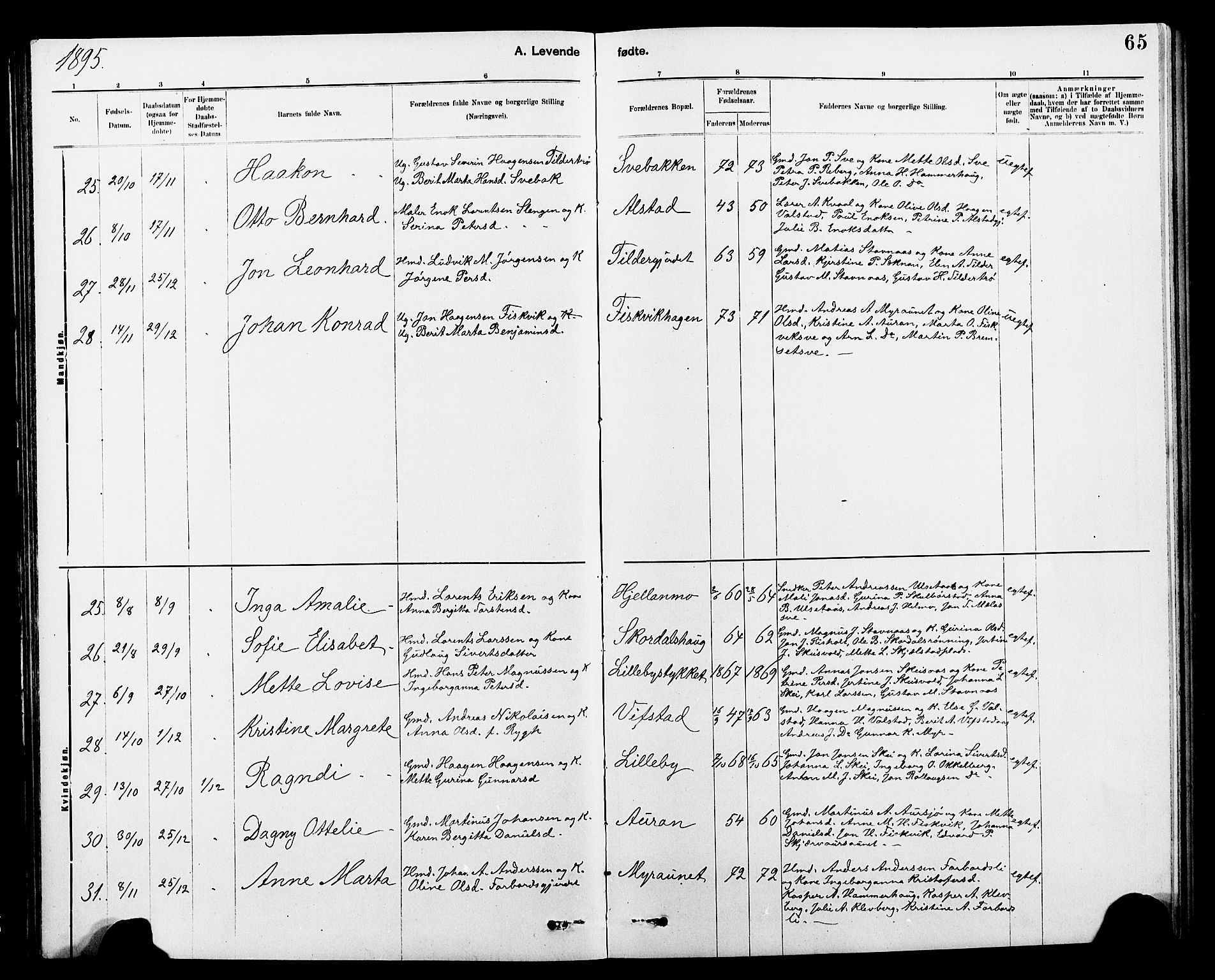 Ministerialprotokoller, klokkerbøker og fødselsregistre - Nord-Trøndelag, AV/SAT-A-1458/712/L0103: Parish register (copy) no. 712C01, 1878-1917, p. 65