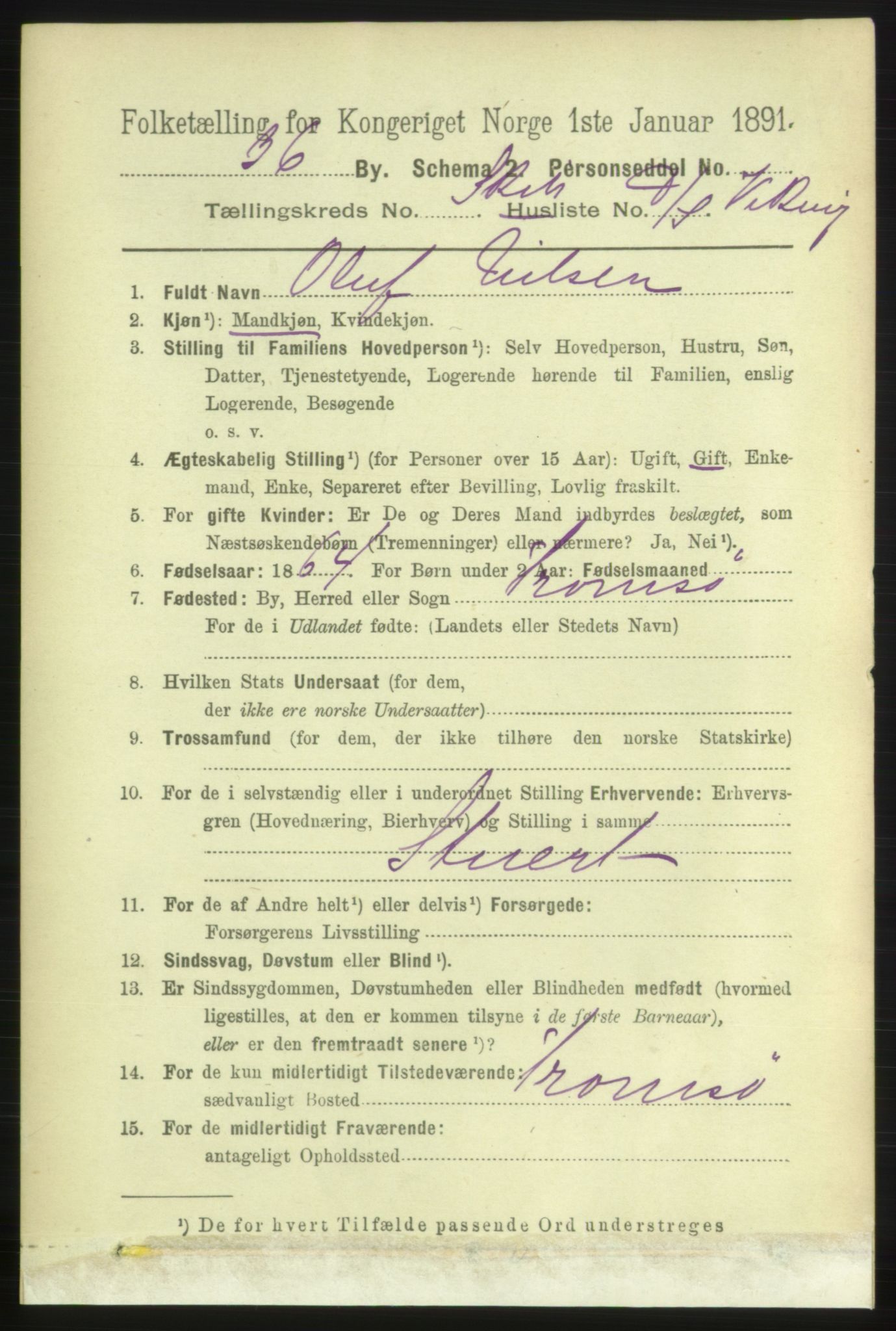 RA, 1891 census for 1001 Kristiansand, 1891, p. 16074