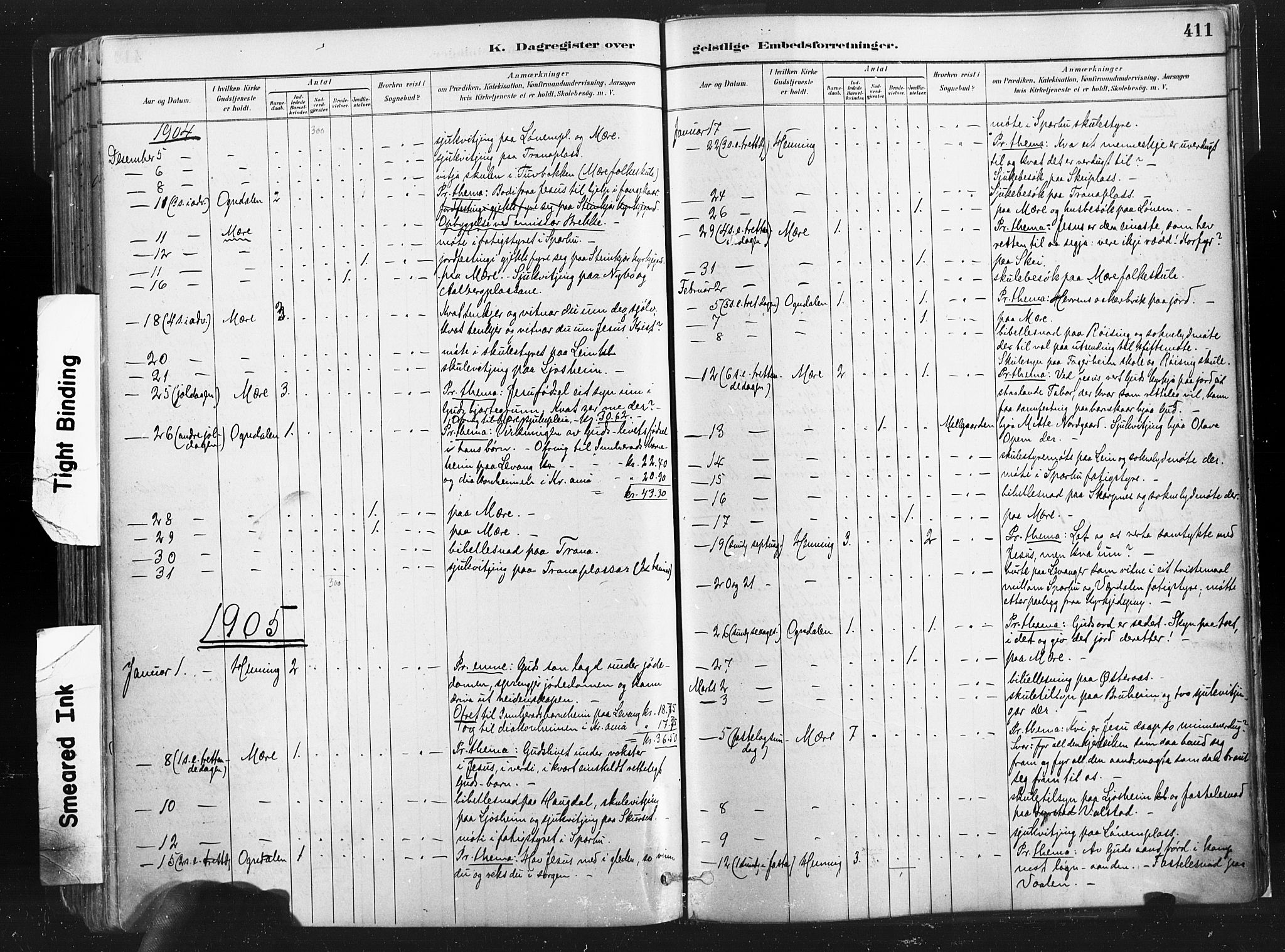 Ministerialprotokoller, klokkerbøker og fødselsregistre - Nord-Trøndelag, AV/SAT-A-1458/735/L0351: Parish register (official) no. 735A10, 1884-1908, p. 411