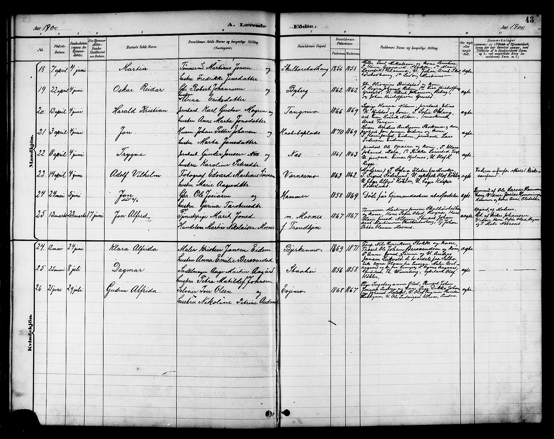 Ministerialprotokoller, klokkerbøker og fødselsregistre - Nord-Trøndelag, AV/SAT-A-1458/709/L0087: Parish register (copy) no. 709C01, 1892-1913, p. 43