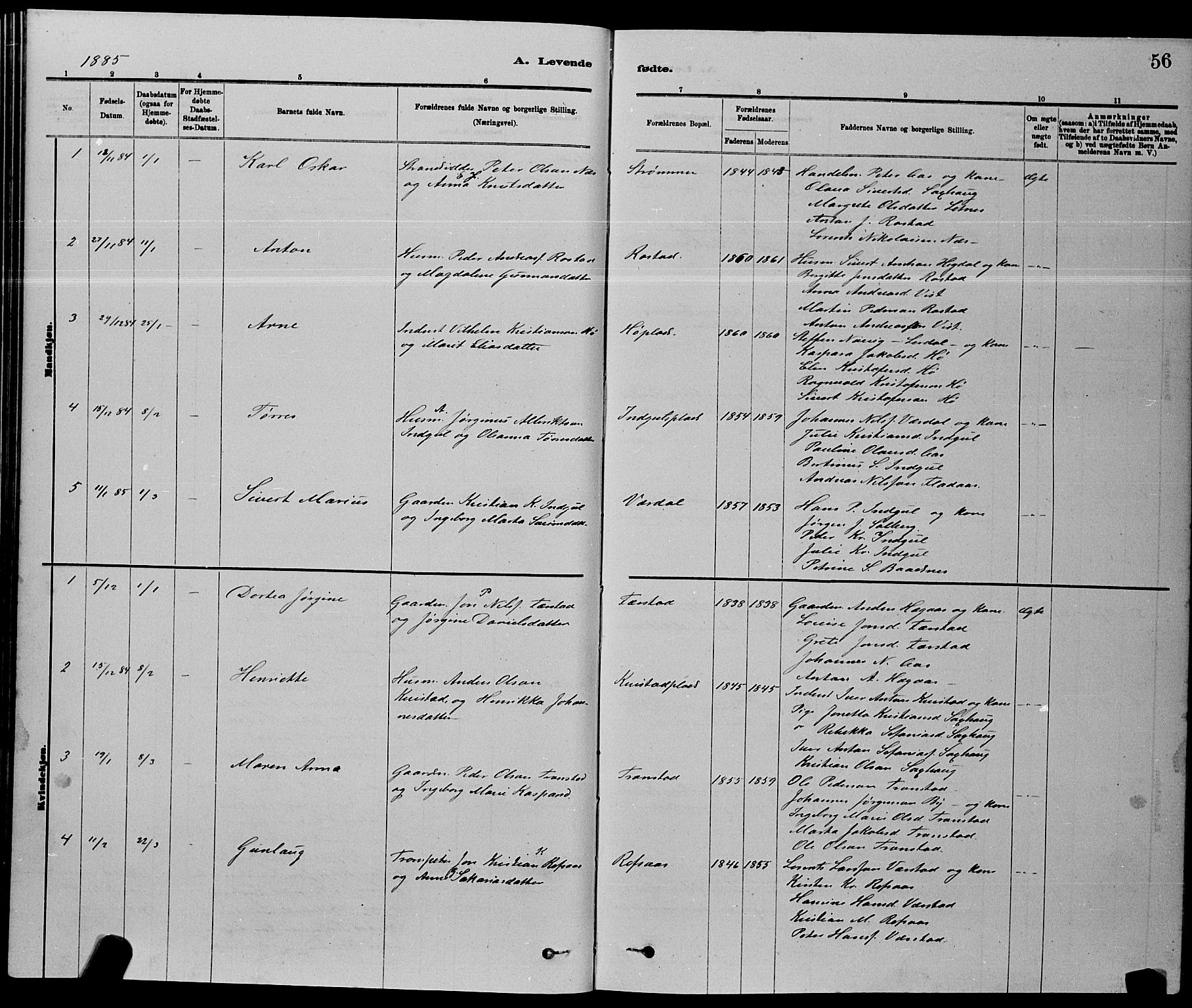 Ministerialprotokoller, klokkerbøker og fødselsregistre - Nord-Trøndelag, SAT/A-1458/730/L0301: Parish register (copy) no. 730C04, 1880-1897, p. 56