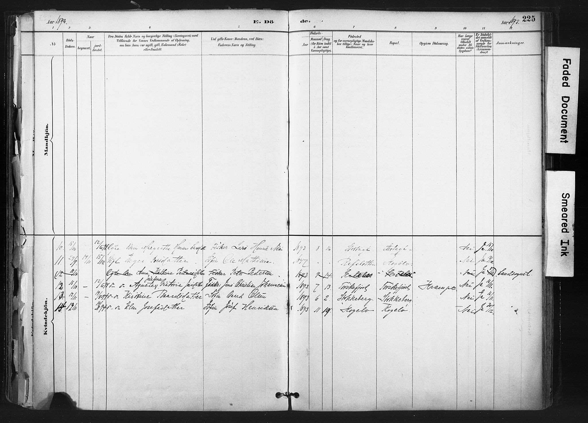 Hammerfest sokneprestkontor, AV/SATØ-S-1347/H/Ha/L0011.kirke: Parish register (official) no. 11 /2, 1885-1897, p. 225