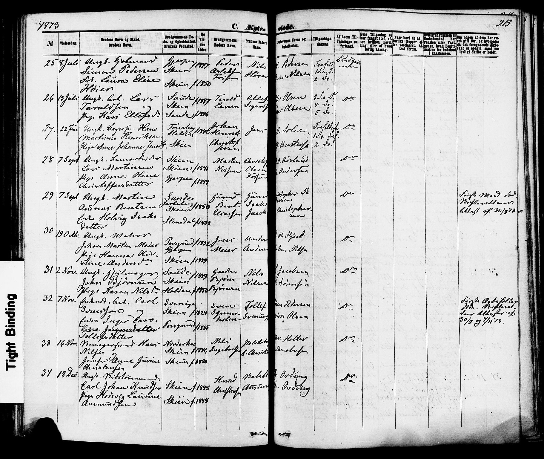 Skien kirkebøker, SAKO/A-302/F/Fa/L0008: Parish register (official) no. 8, 1866-1877, p. 213