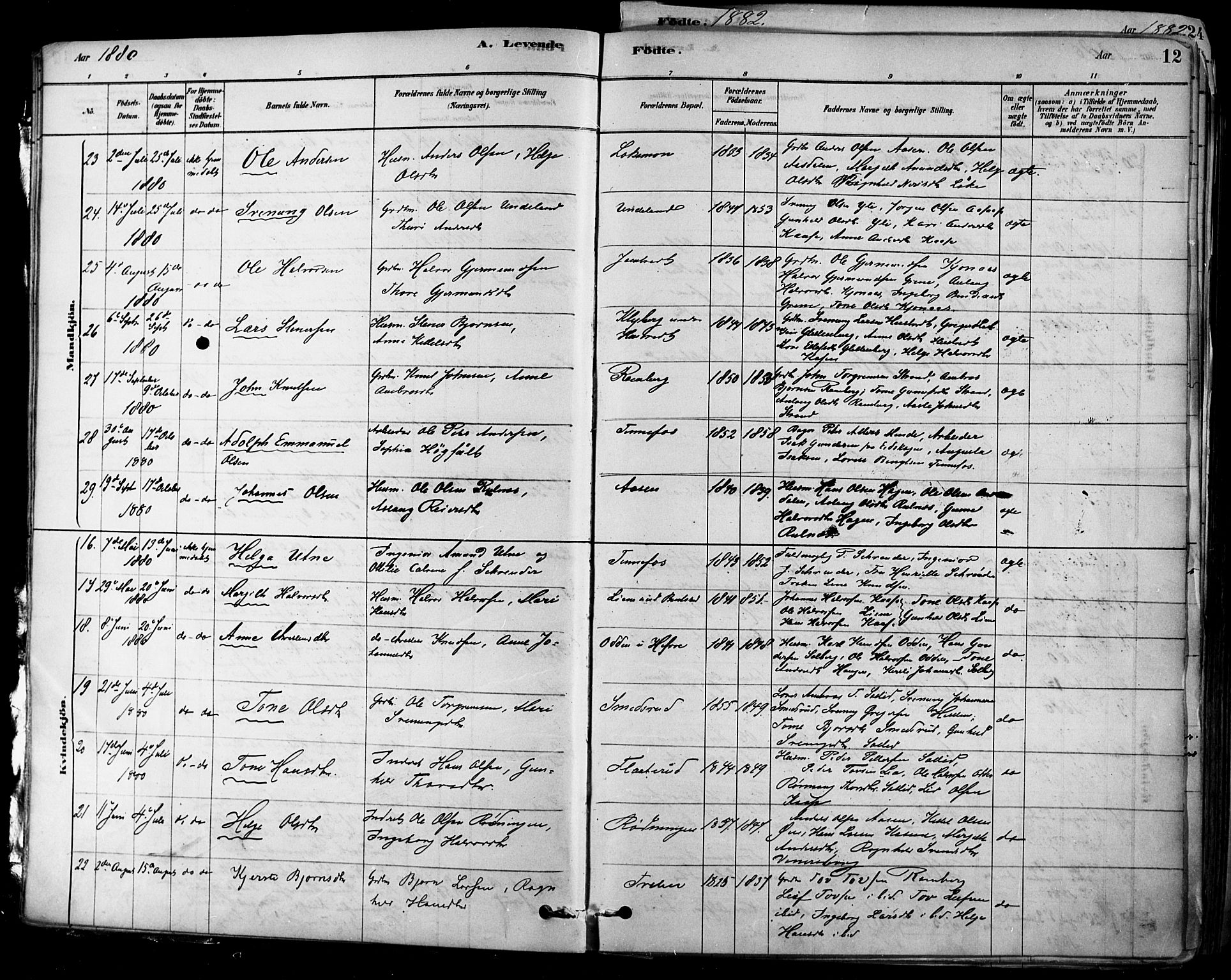 Heddal kirkebøker, AV/SAKO-A-268/F/Fa/L0008: Parish register (official) no. I 8, 1878-1903, p. 12