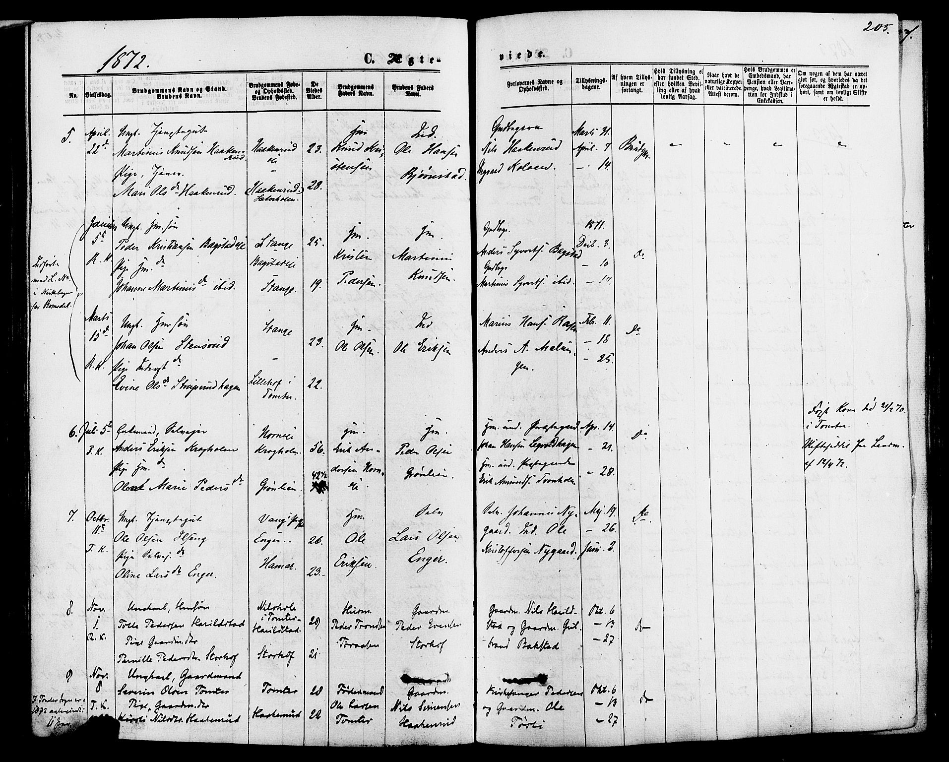 Romedal prestekontor, SAH/PREST-004/K/L0006: Parish register (official) no. 6, 1866-1886, p. 205