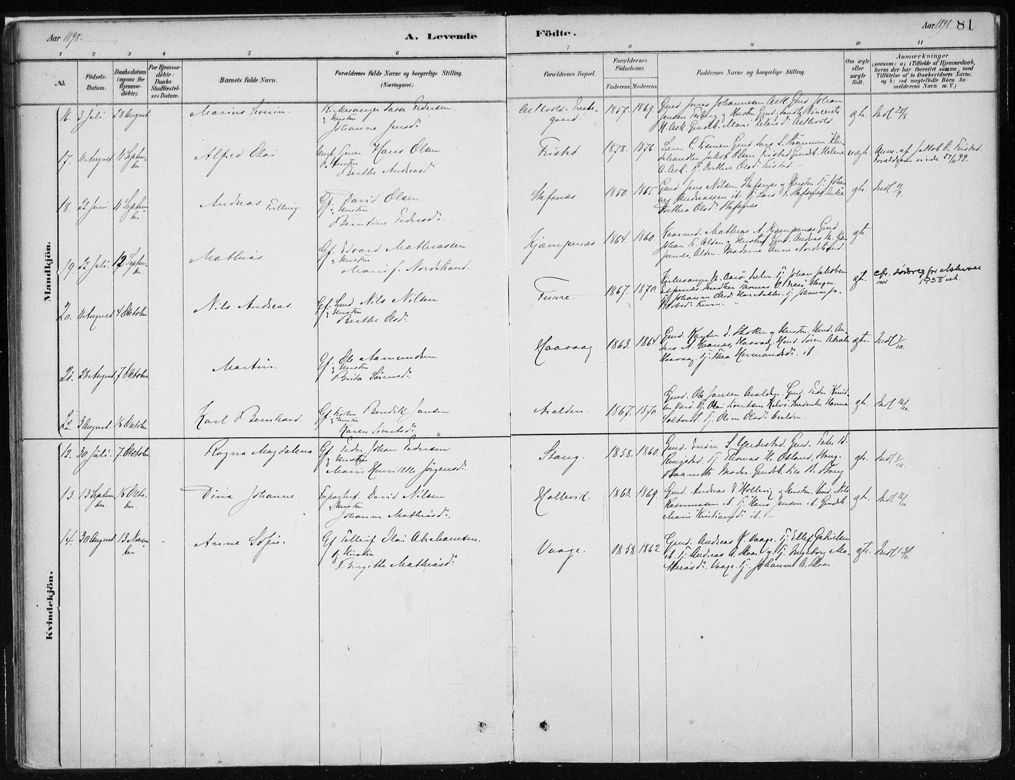 Askvoll sokneprestembete, AV/SAB-A-79501/H/Haa/Haab/L0002: Parish register (official) no. B 2, 1879-1909, p. 81