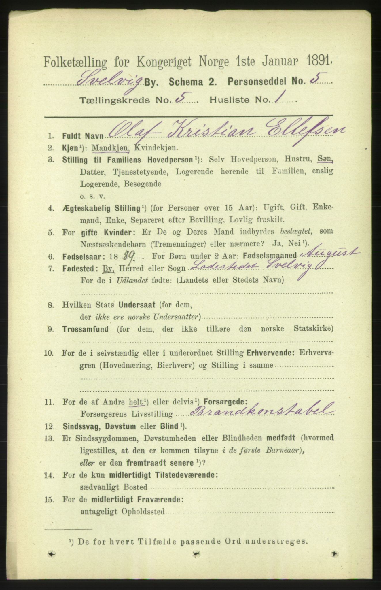 RA, 1891 census for 0701 Svelvik, 1891, p. 1843