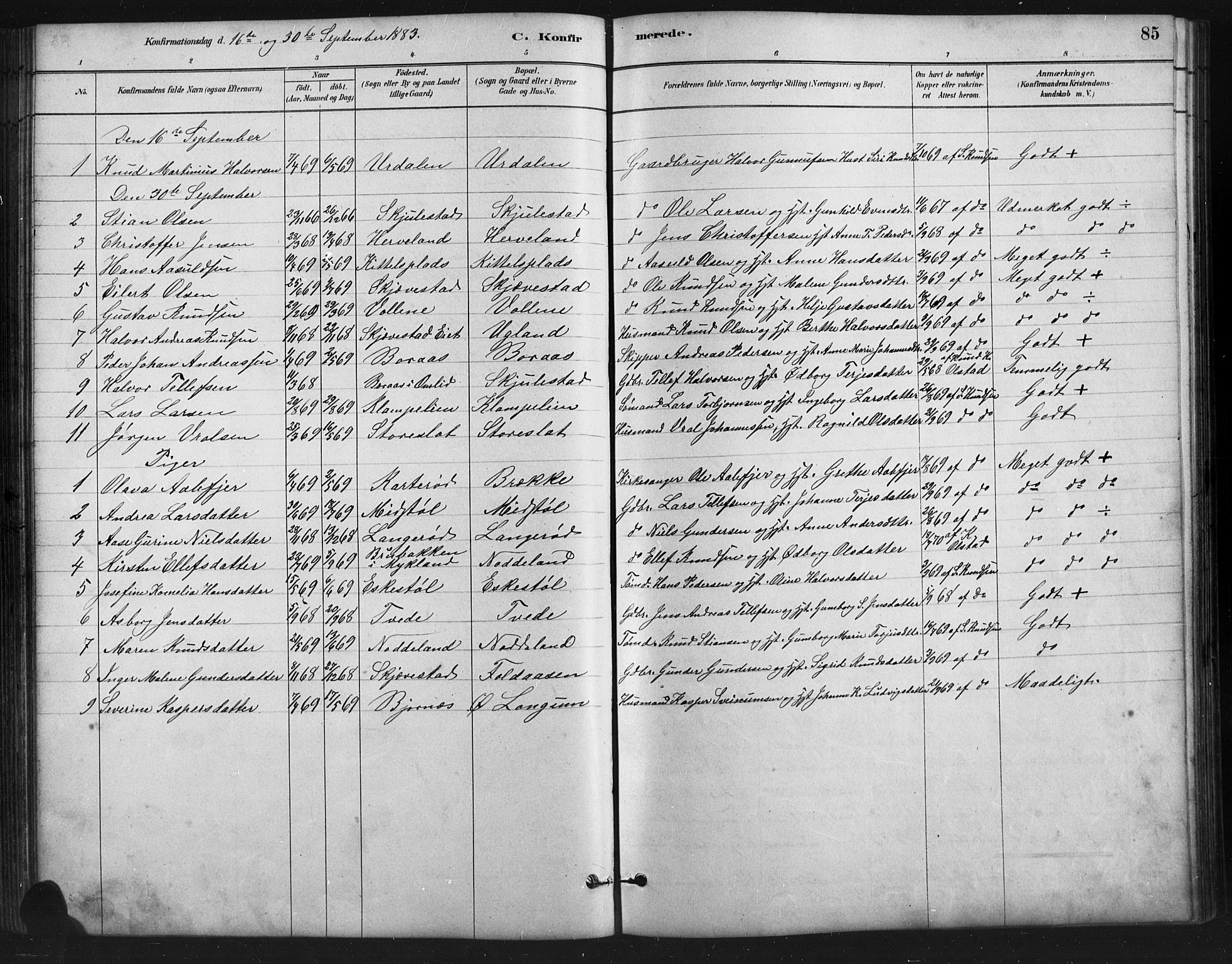 Austre Moland sokneprestkontor, SAK/1111-0001/F/Fb/Fba/L0003: Parish register (copy) no. B 3, 1879-1914, p. 85