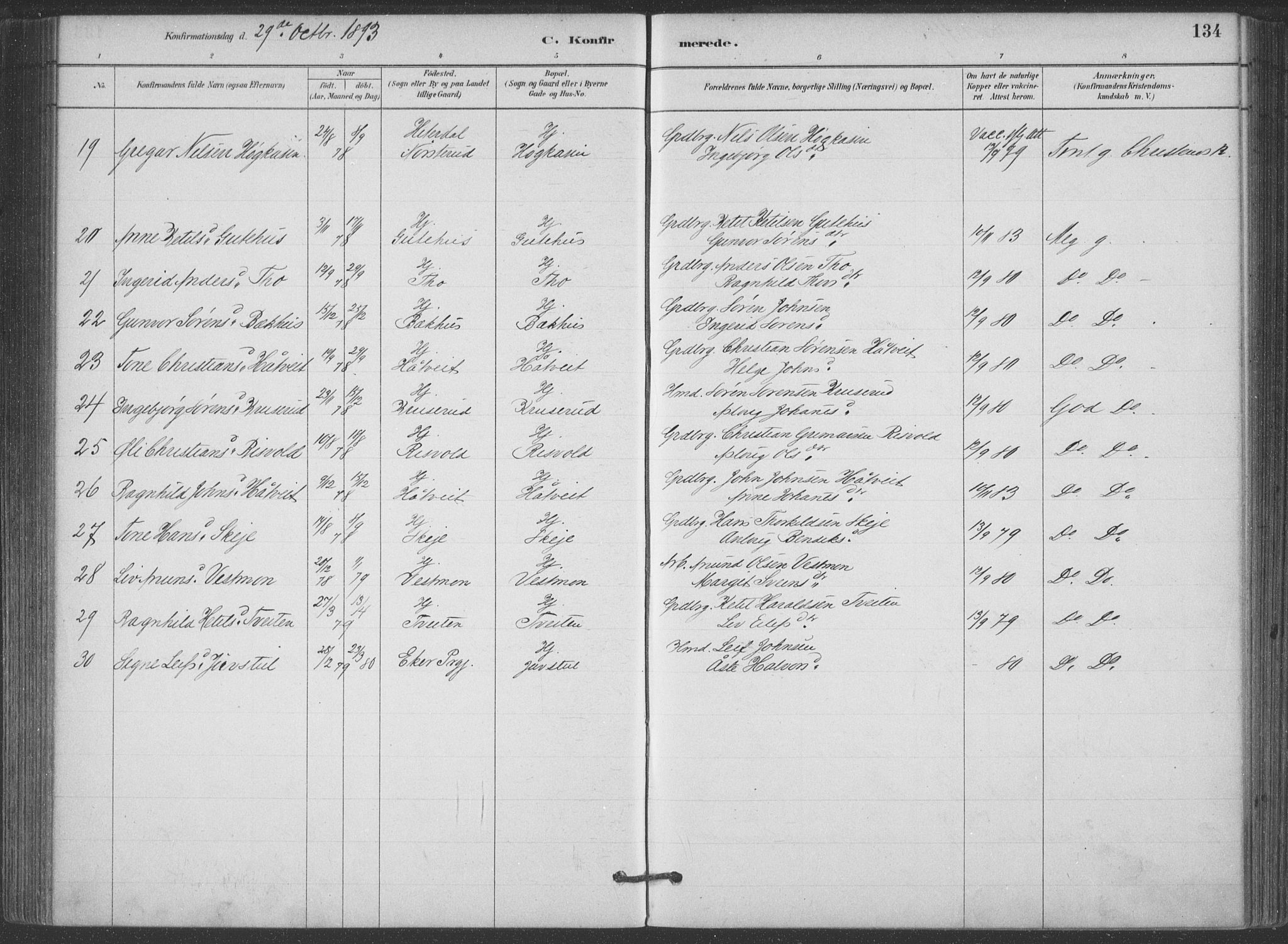 Hjartdal kirkebøker, SAKO/A-270/F/Fa/L0010: Parish register (official) no. I 10, 1880-1929, p. 134